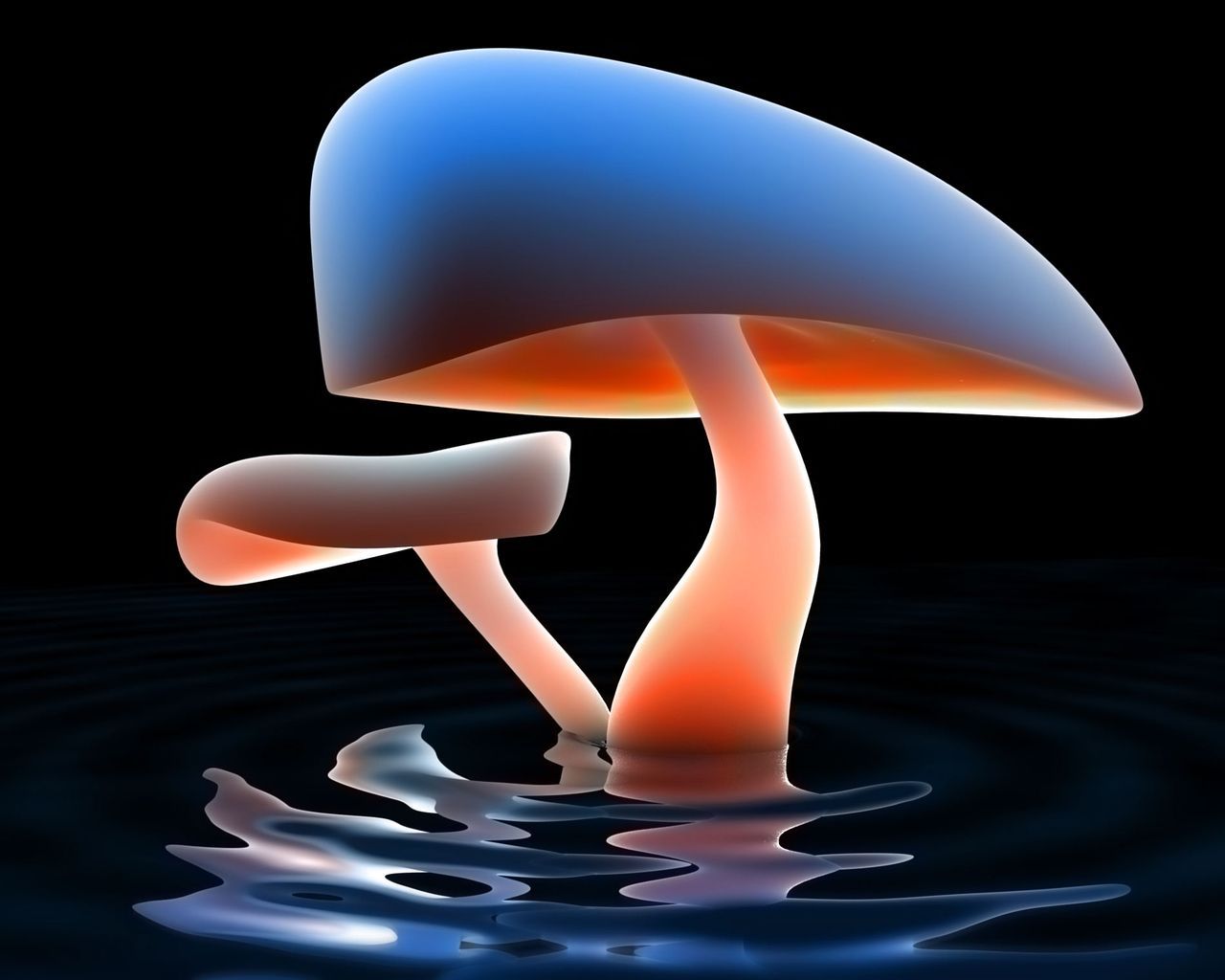 Colorful digital art wallpaper (20 photo) - Mushroom wallpaper, Stuffed mushrooms, Wallpaper maker