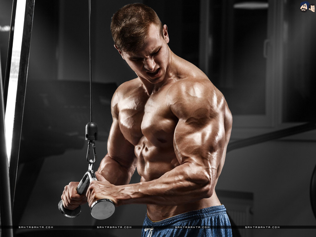 Wallpaper. HD Wallpaper. Ultra HD 4K Wallpaper for Desktop & Mobiles