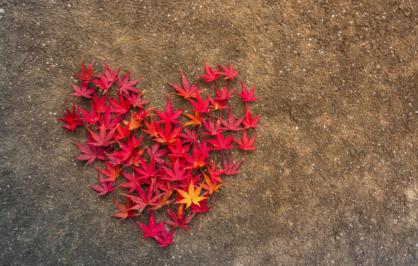 Wallpaper autumn, leaves, love, heart, love, heart, wood, background, autumn, leaves, romantic, maple image for desktop, section настроения