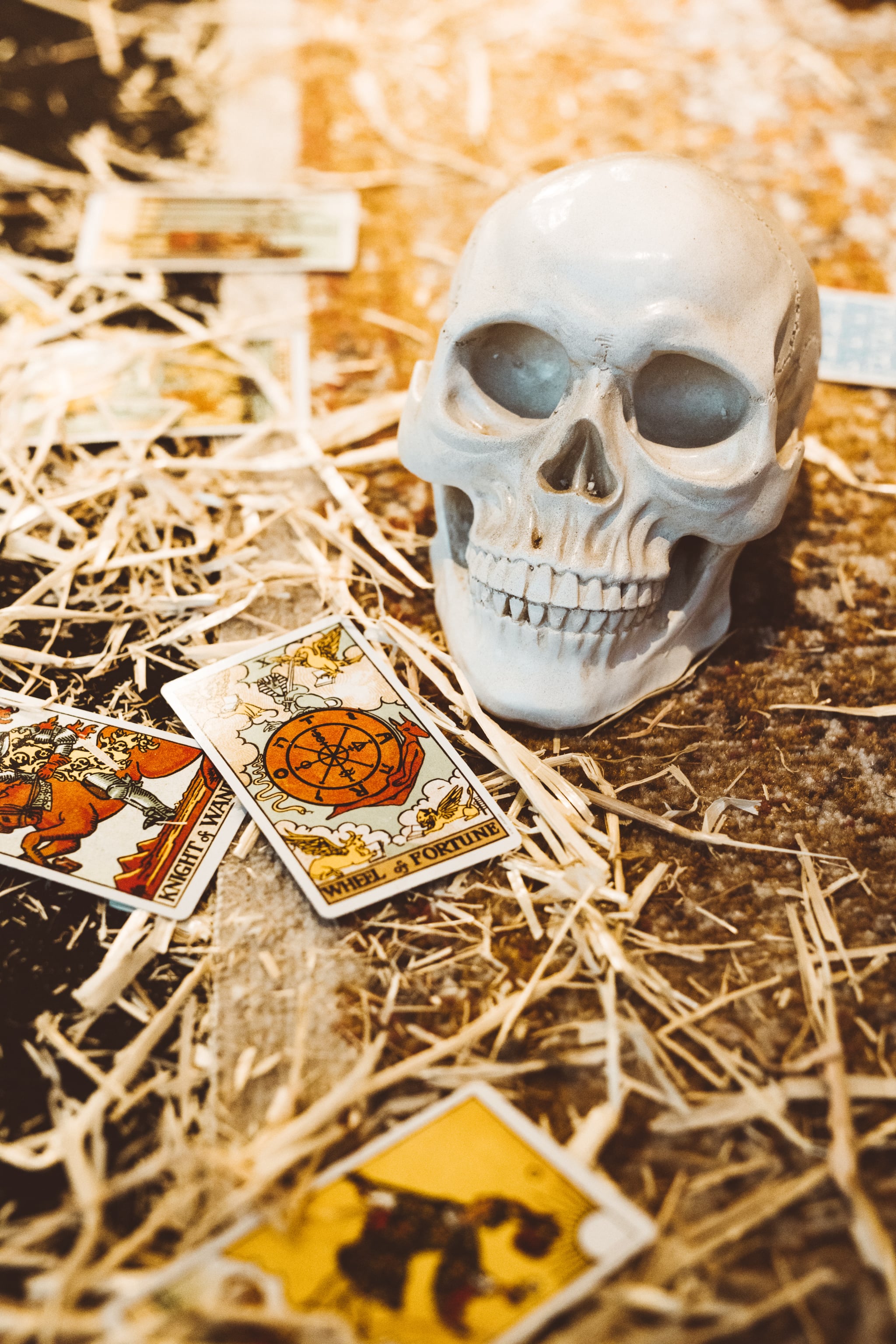 Download Scary Halloween Skeleton Crawling Wallpaper  Wallpaperscom