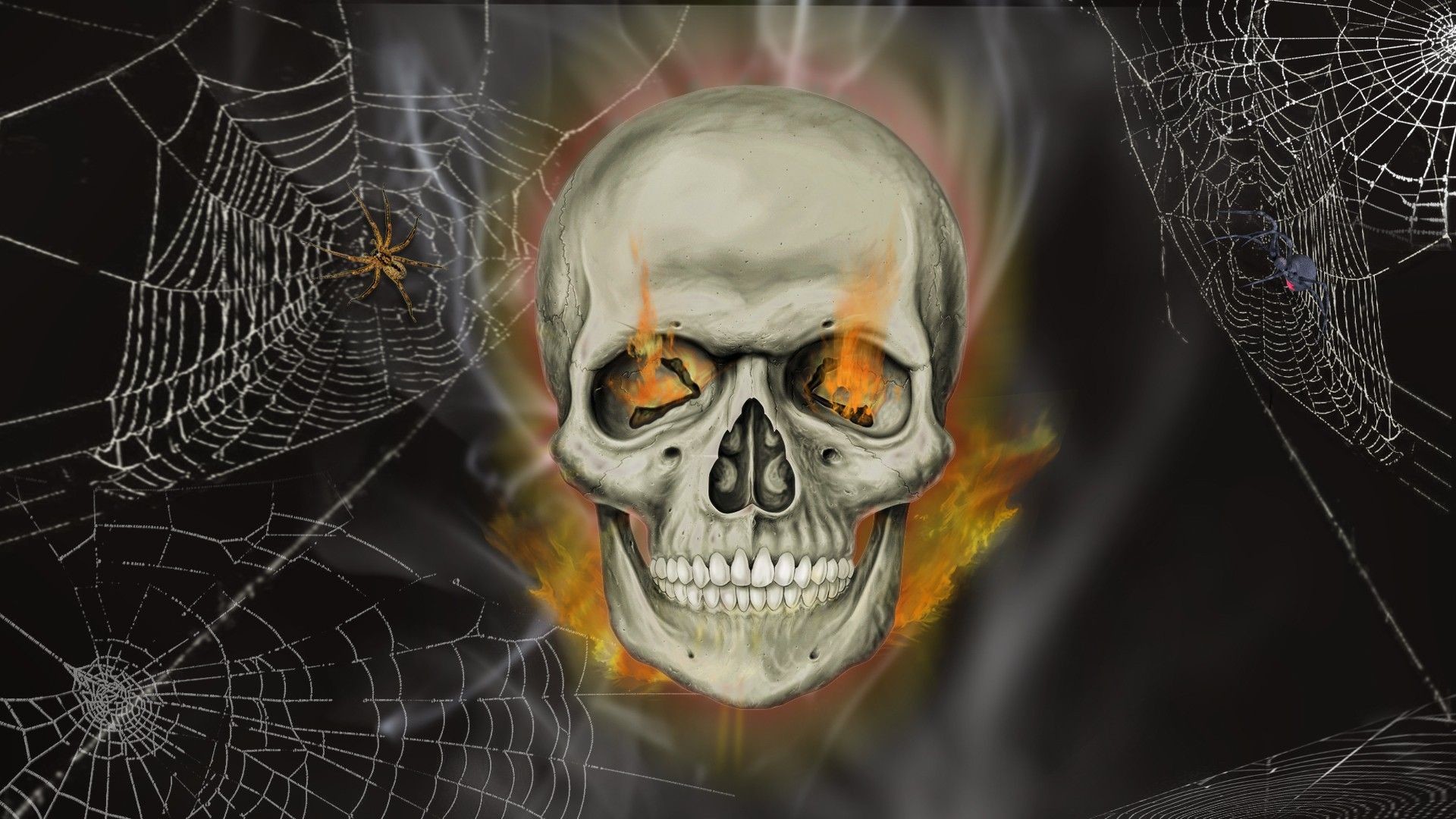 Skull Wallpapers Hp Data Src Halloween Skeleton Wallpapers.