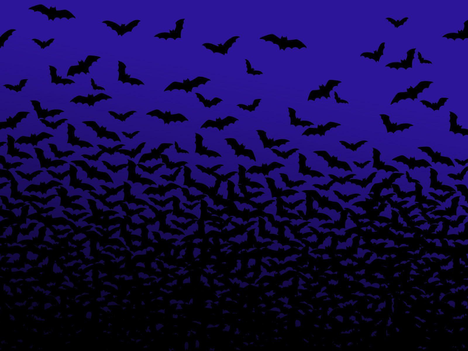 Bat Wallpaper, HD Bat Background on WallpaperBat