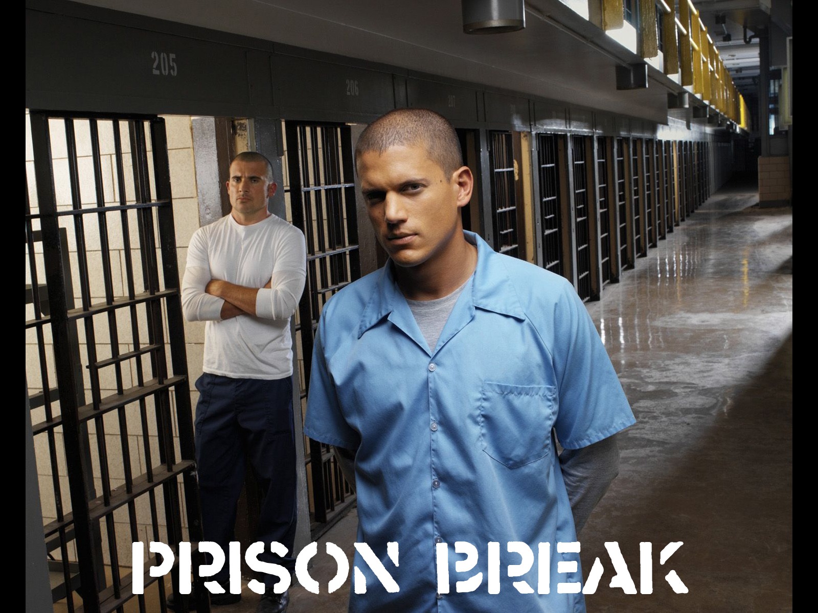 Michael Scofield Lincoln Burrows Wallpaper Prison Break Movies Wallpaper in jpg format for free download