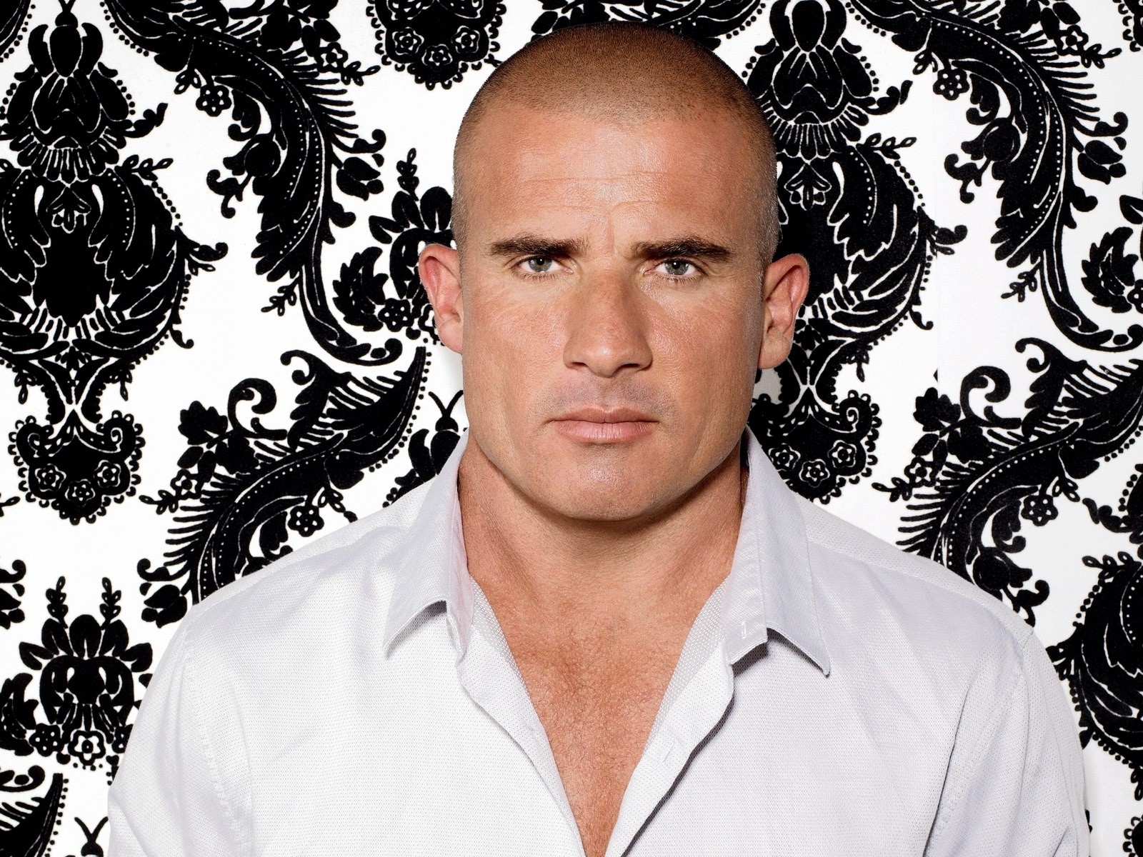 Dominic purcell HD wallpaper, background