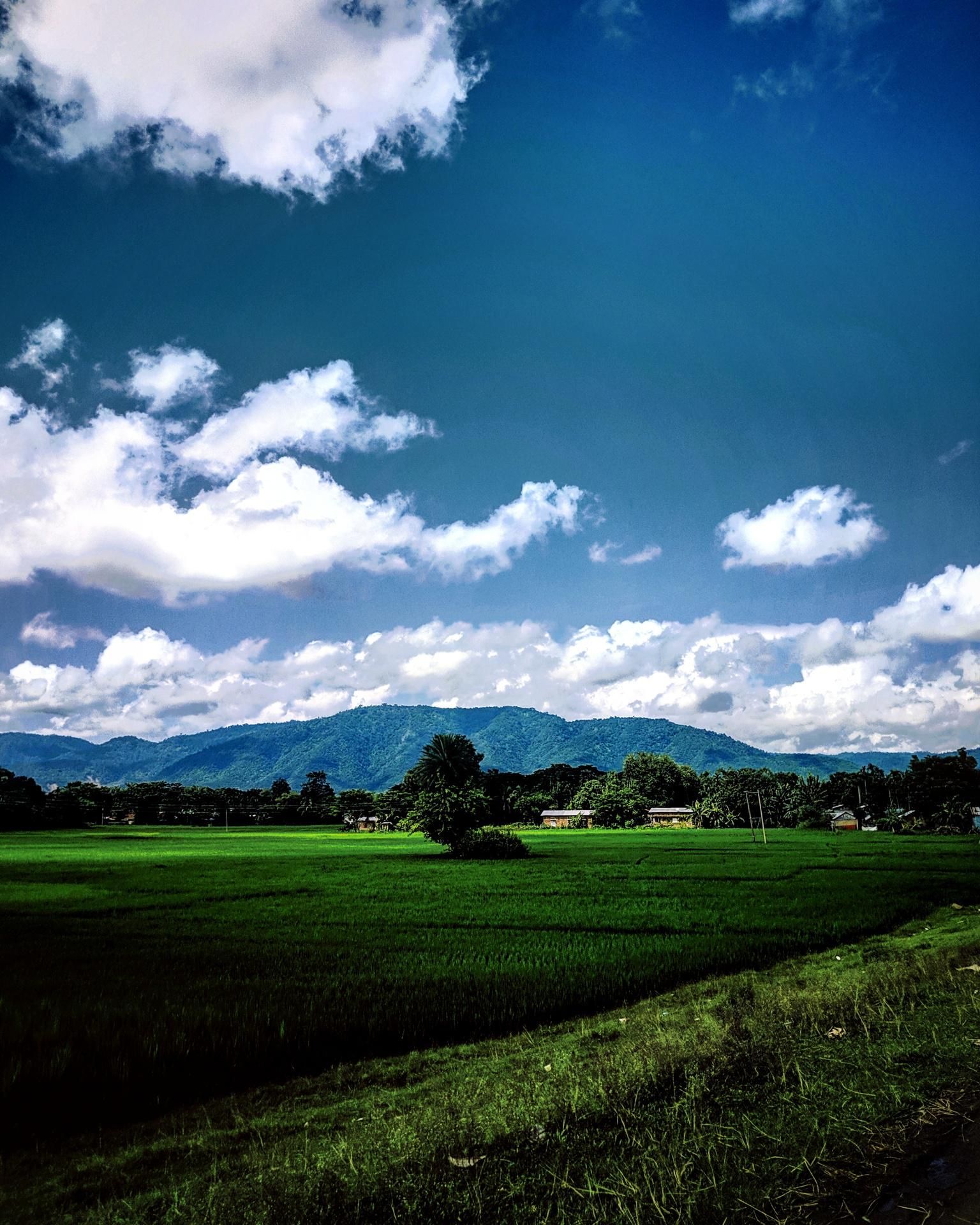 View from the state highway [OC]. Assam India [1536x1920] #Music #IndieArtist #Chicago. Scenery photography, Nature photography, Landscape photographers