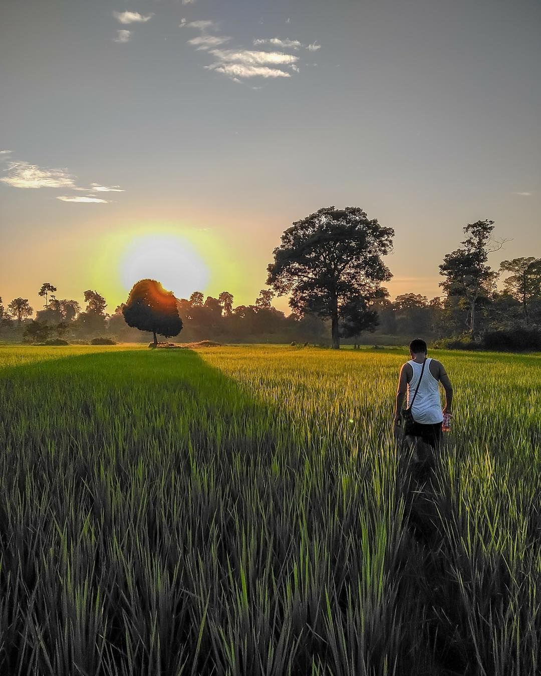 Assam ideas. northeast india, guwahati, archaeological site