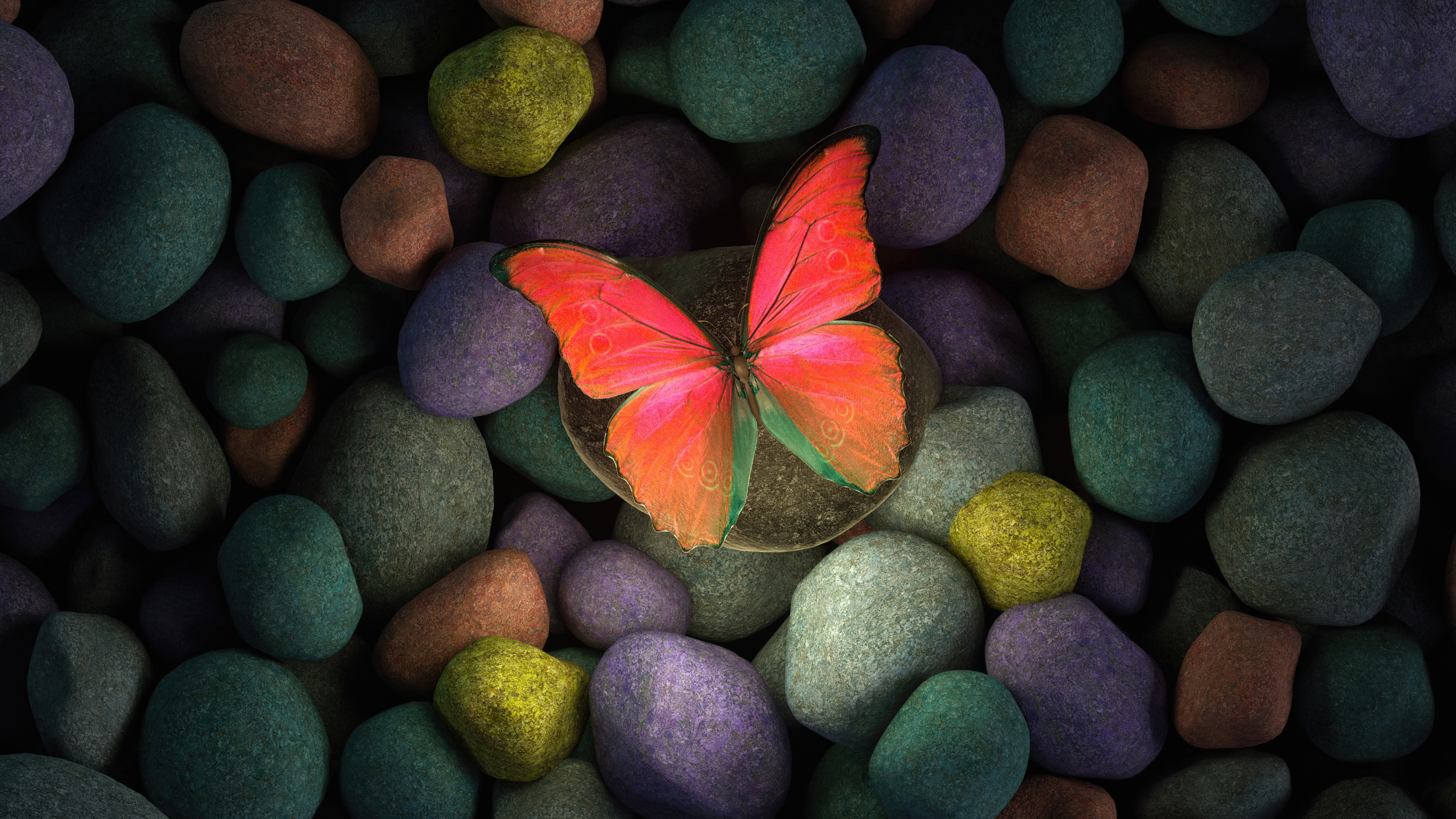 Butterfly Wallpaper 4K, Stones, Colorful, Focus, Pebbles, Aesthetic, Photography