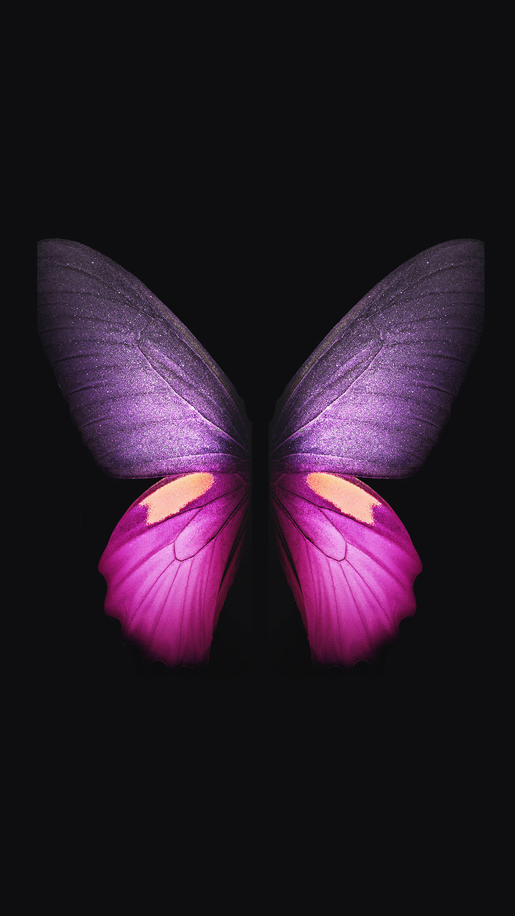 Samsung Galaxy Fold Butterfly iPhone 6, iPhone 6S, iPhone 7 HD 4k Wallpaper, Image, Background, Photo and Picture