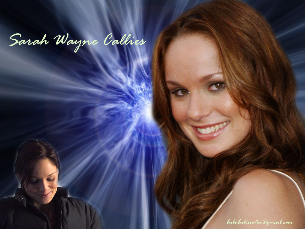 Sarah Wayne Callies Quotes. QuotesGram