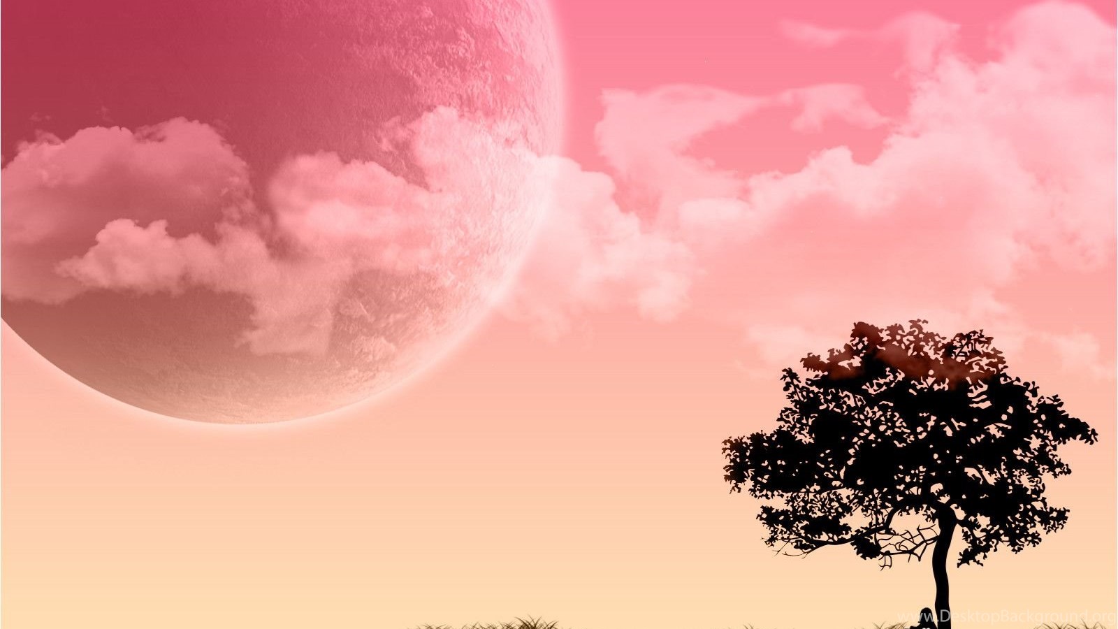 Pink Wallpaper For Computer Desktop Background