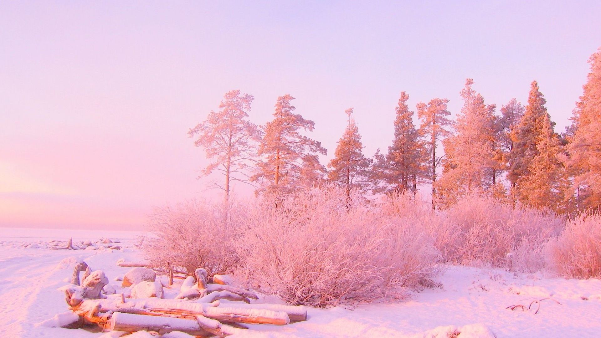 Pastel Pink Desktop Wallpaper