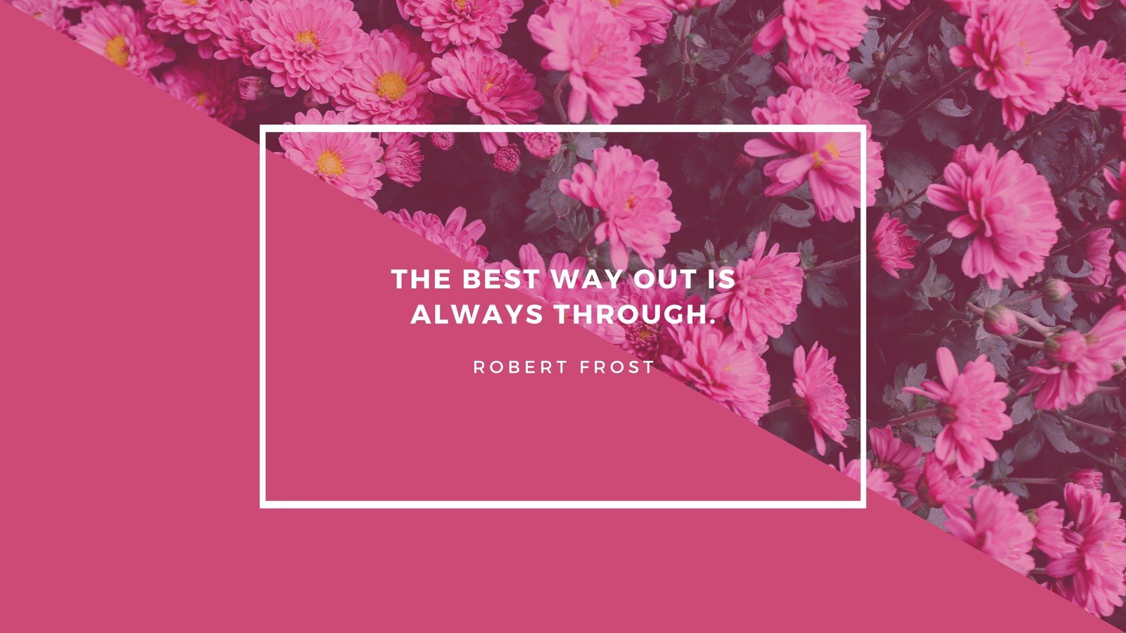 cute desktop wallpaper