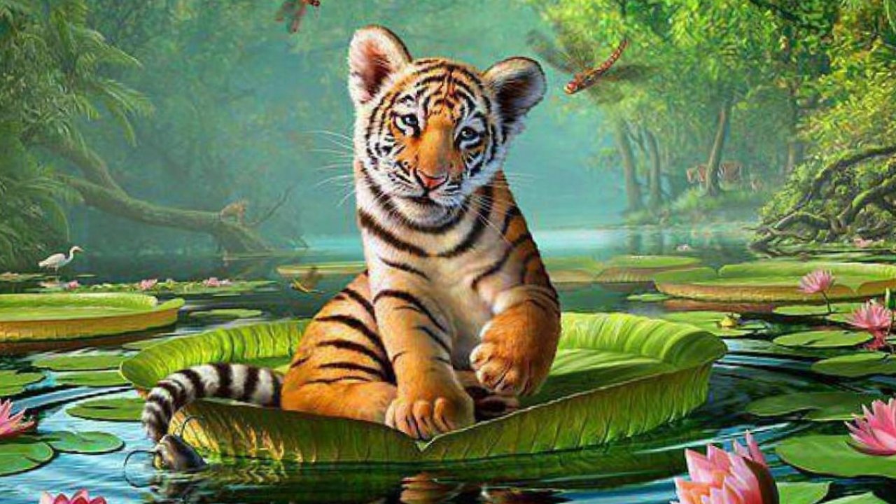 Animal Wallpaper, Animal Planet, Desktop Image, Free Background HD Animals