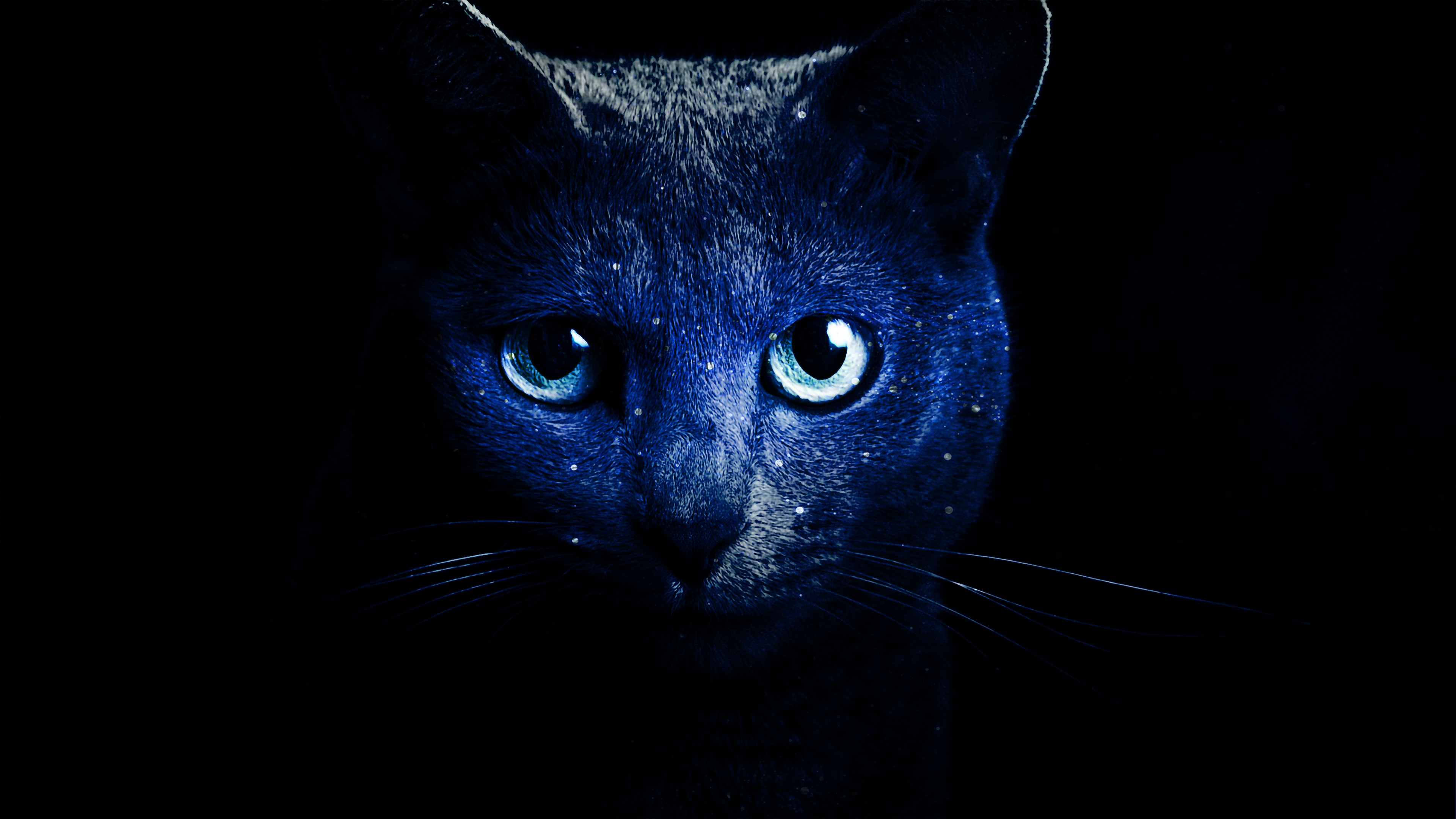 Wallpaper, desktop, animal, galaxy 3840x2160