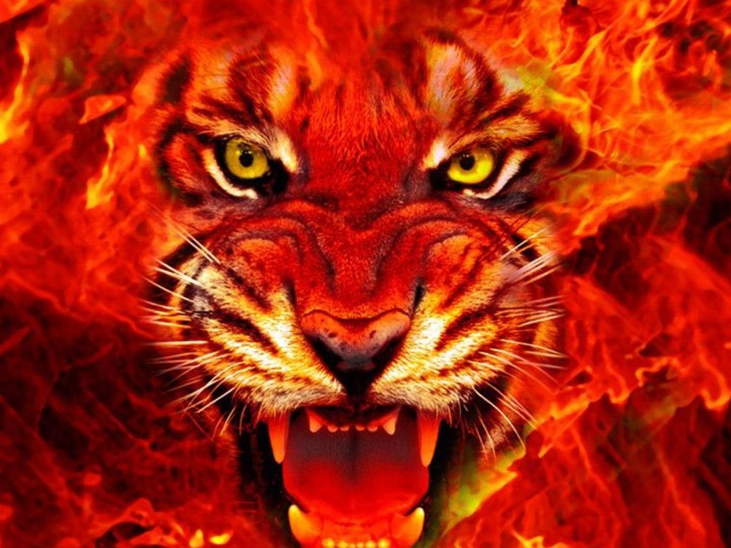Animal Tiger Face Fire 4k Ultra HD Wallpaper For Deskx1080, Wallpaper13.com
