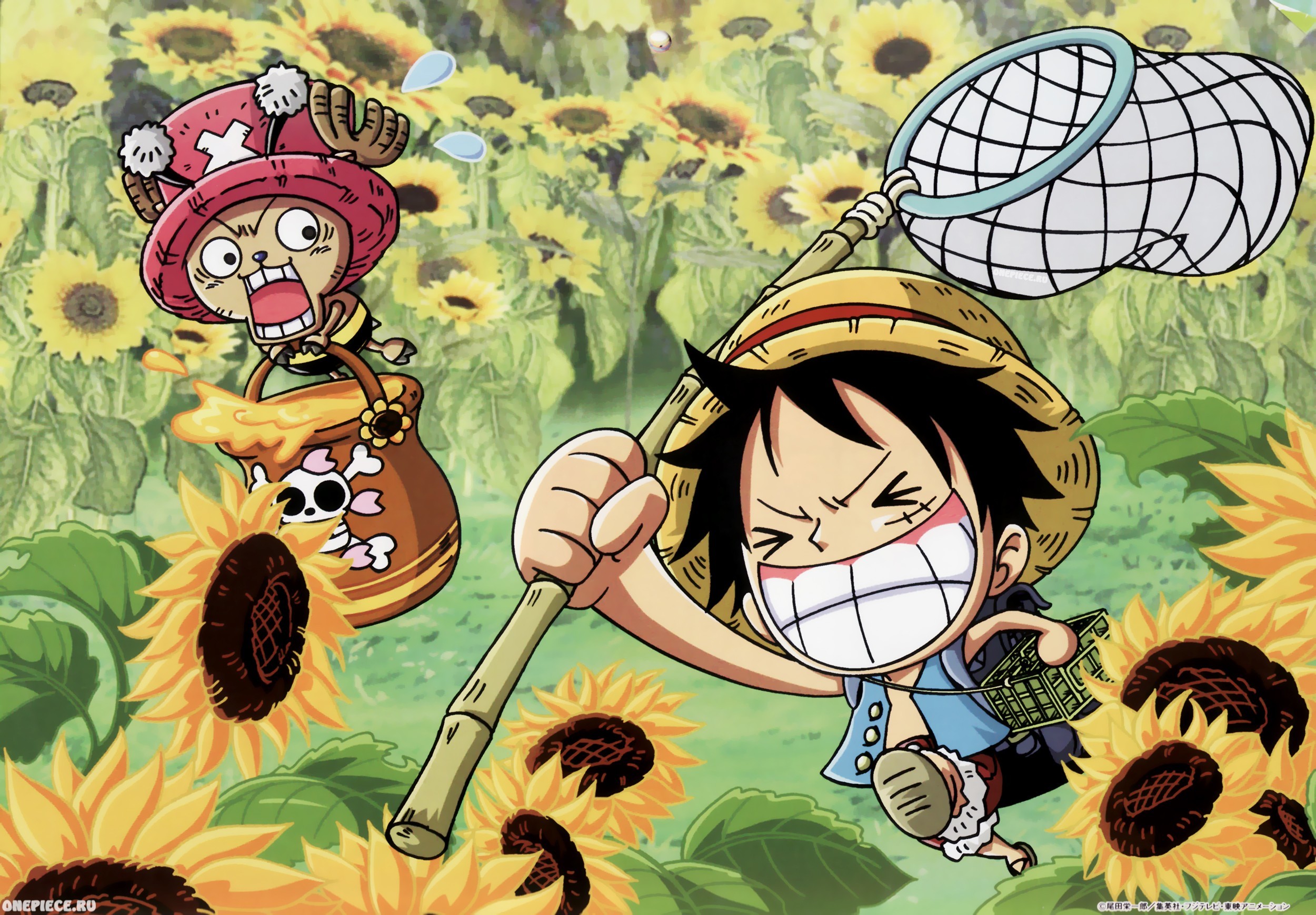 Funny One Piece Data Src Download Free Chopper One Piece Luffy Wallpaper HD HD Wallpaper