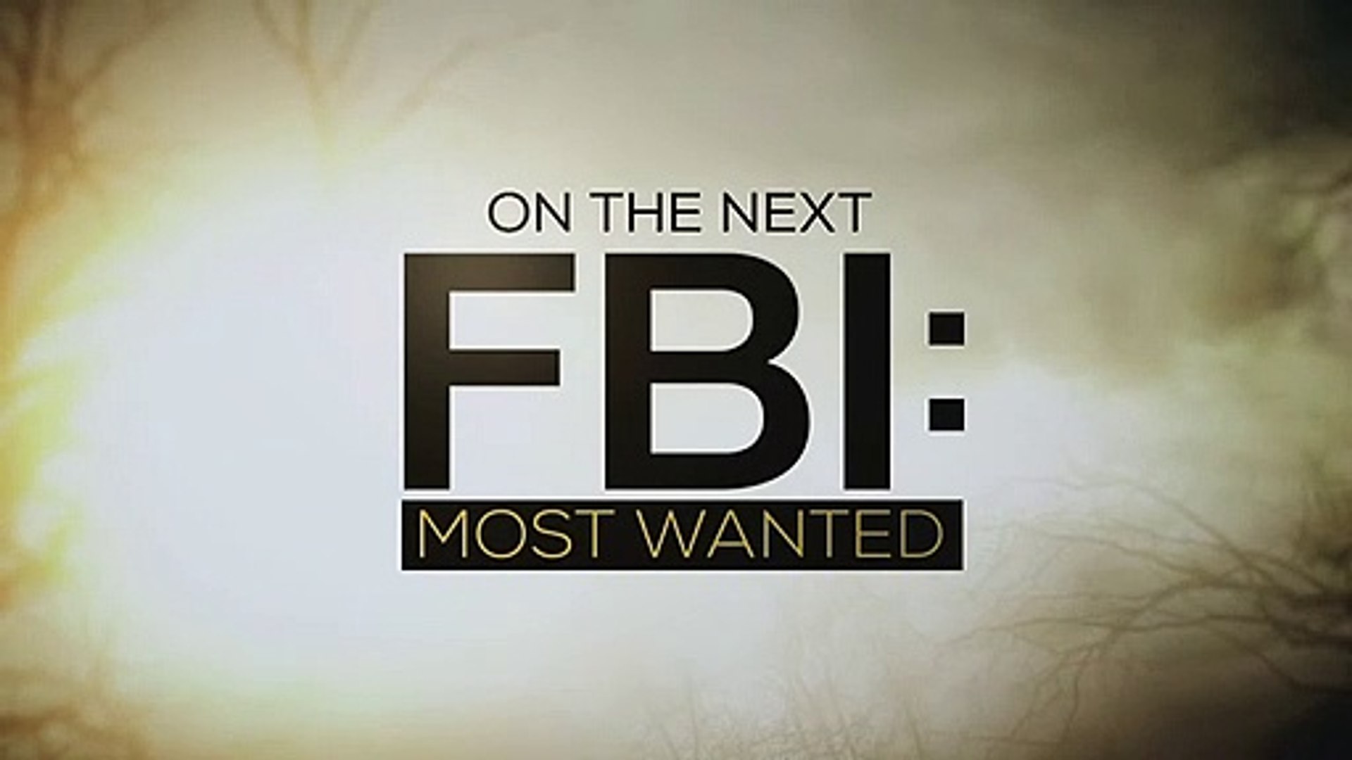 FBI Most Wanted S01E08 Predators