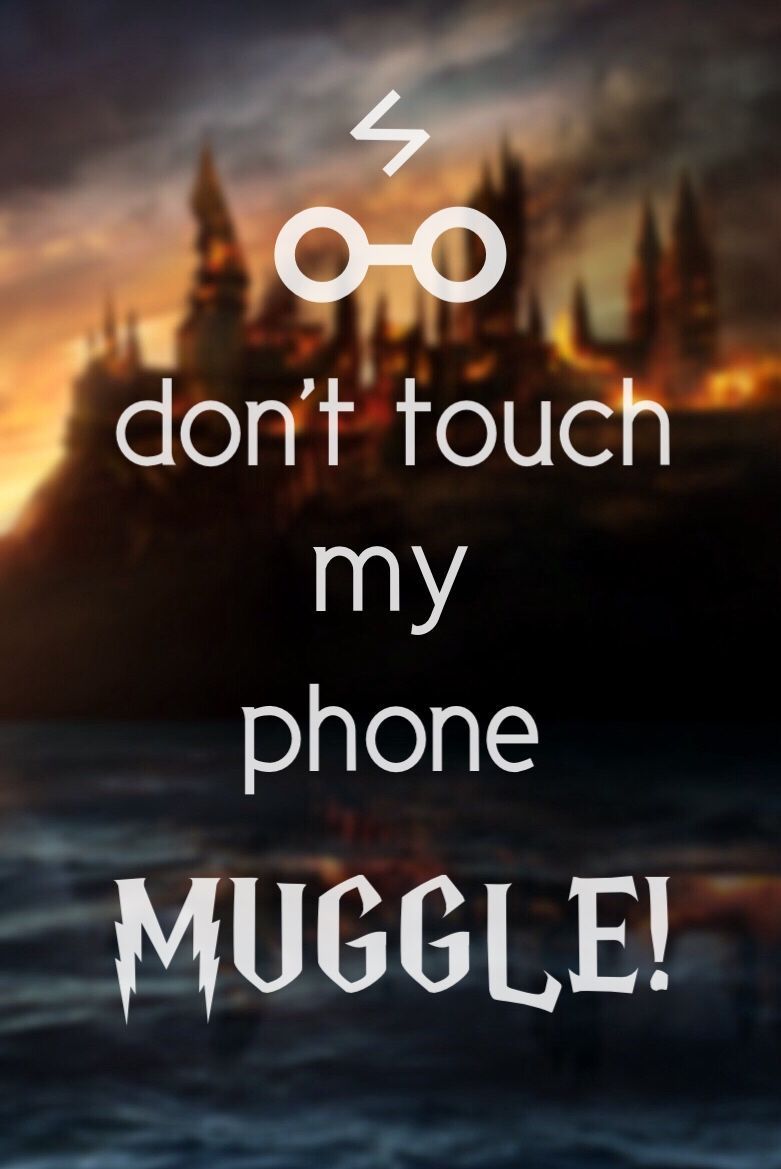 Harry Potter Don't Touch My Laptop Wallpaper