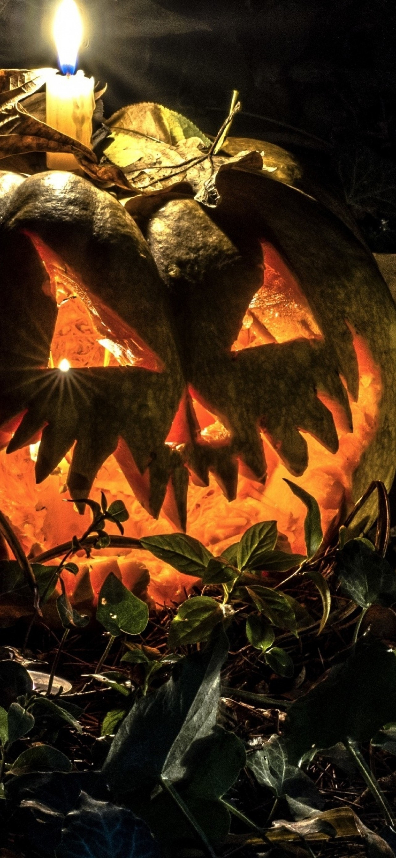 Download 1284x2778 Halloween, Pumpkin, Autumn, Night, Creepy Wallpaper for iPhone 12 Pro Max