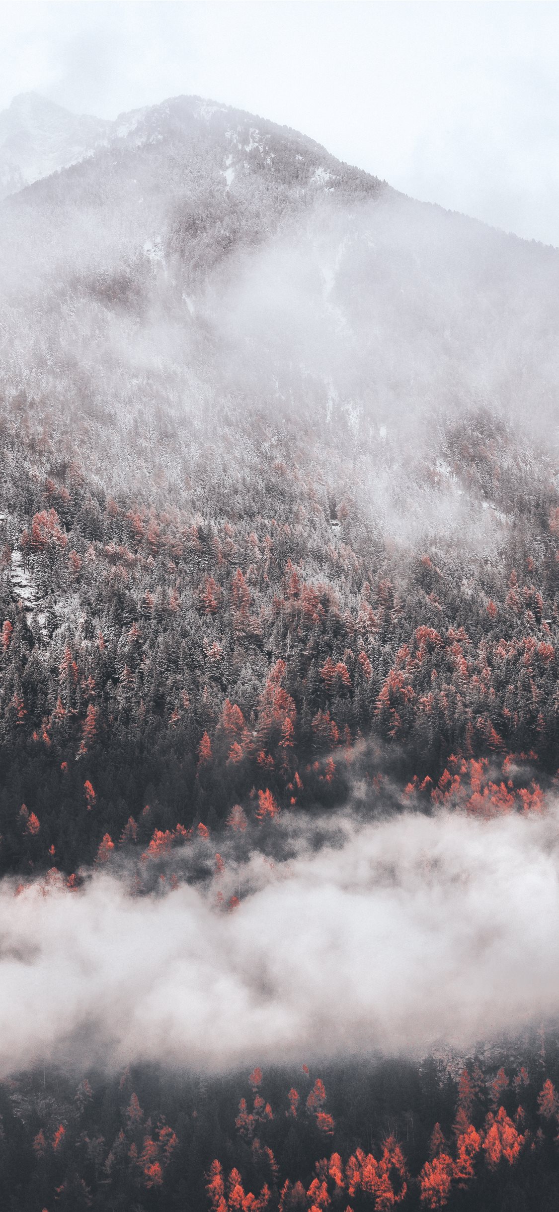 White fall iPhone X Wallpaper Free Download