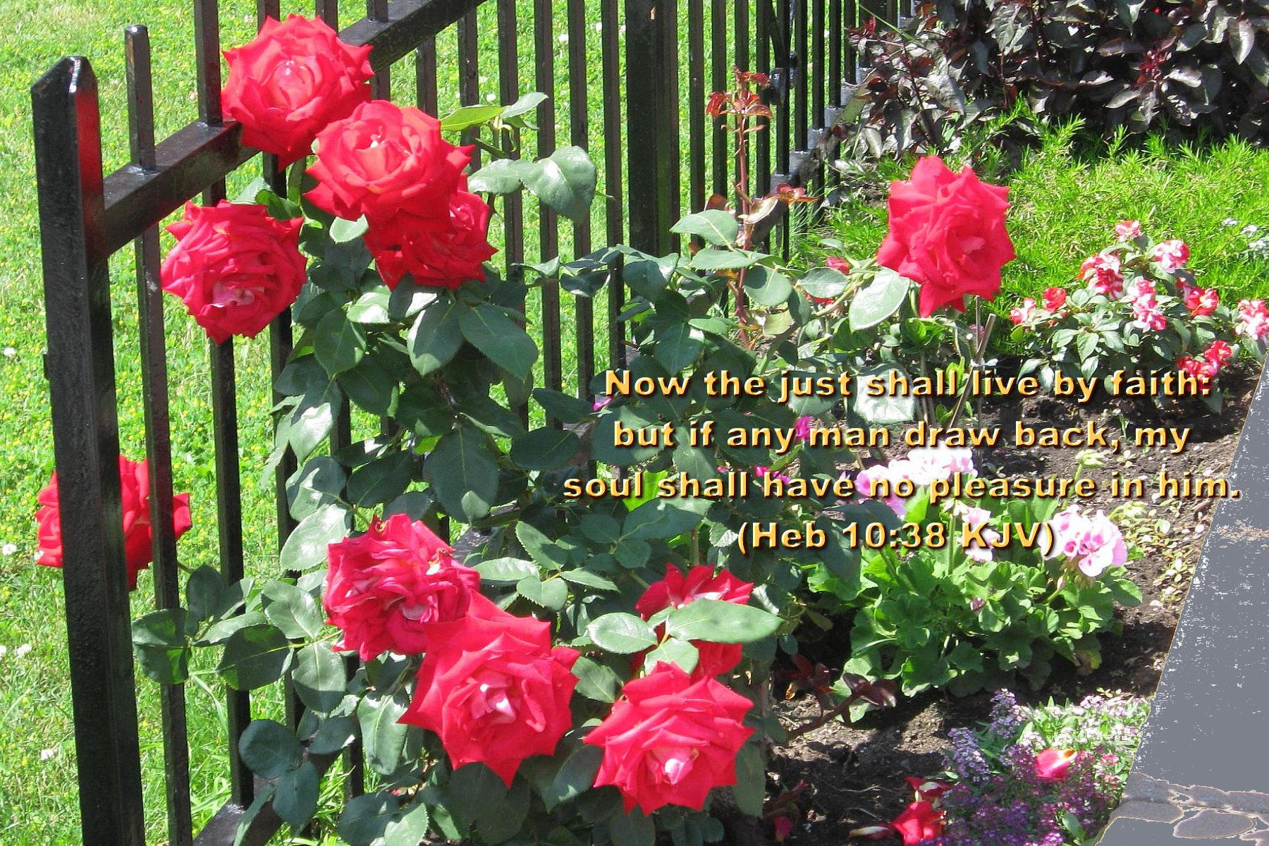 Free download inspirational wallpaper spring summer flowers bible verses large size [1800x1200] for your Desktop, Mobile & Tablet. Explore Free Spring Wallpaper with Scripture. King James Bible Verse Wallpaper