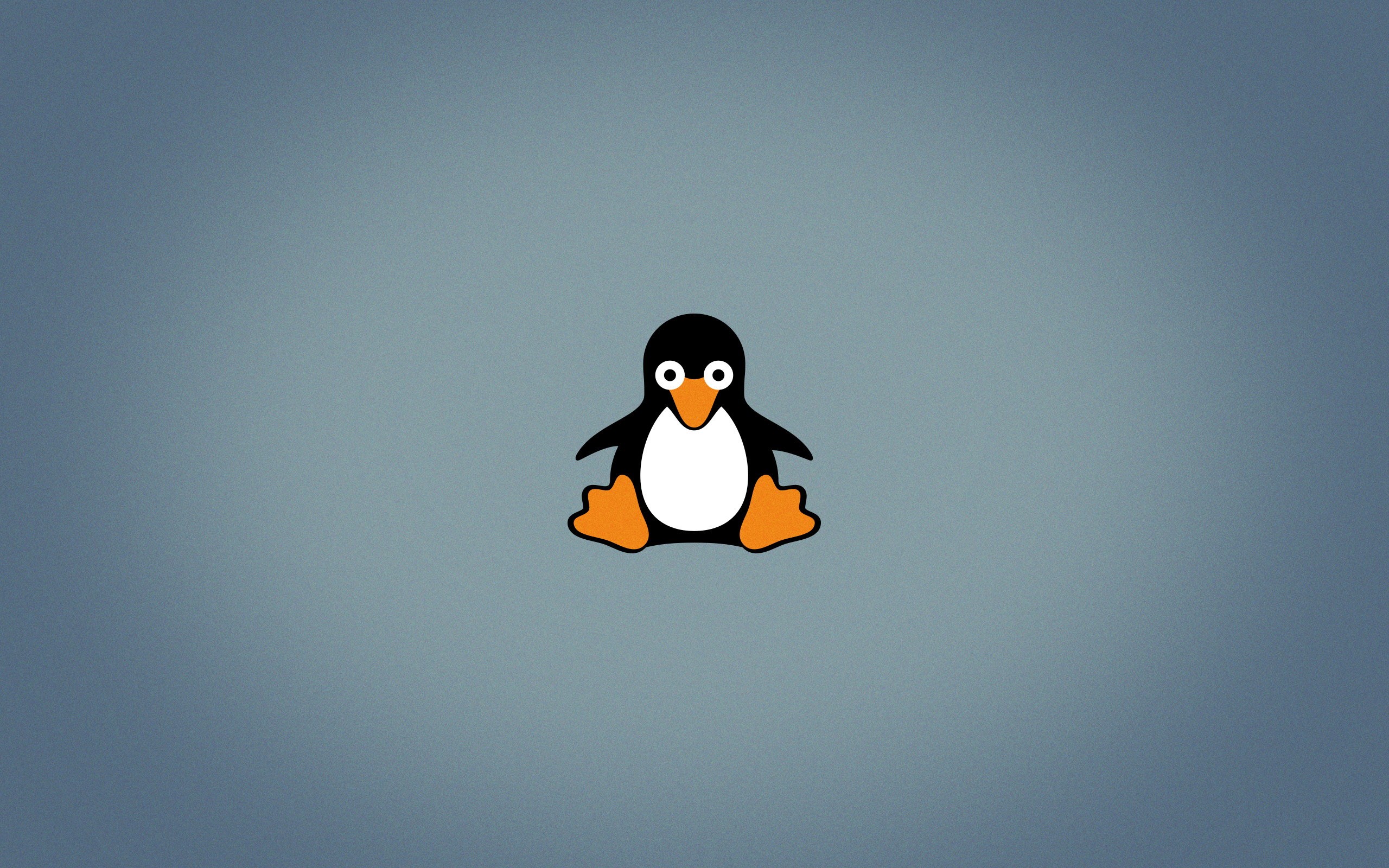 Wallpaper, 2560x1600 px, Linux, logo, open source, penguins, Tux 2560x1600