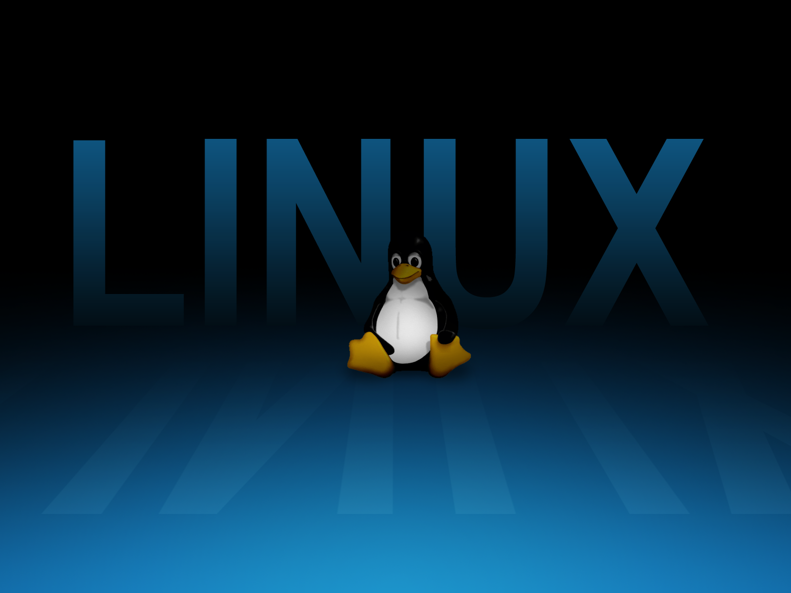 Linux Penguin Wallpaper Free Linux Penguin Background