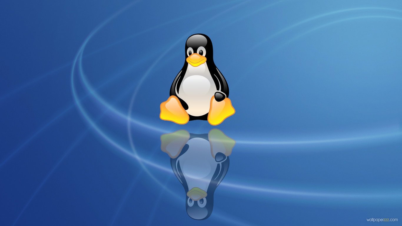 Free download Download Linux Penguin HD Wallpaper [1366x768] for your Desktop, Mobile & Tablet. Explore HD Linux Wallpaper. Best Linux Wallpaper, Kali Linux Wallpaper HD, Linux Mint Wallpaper HD