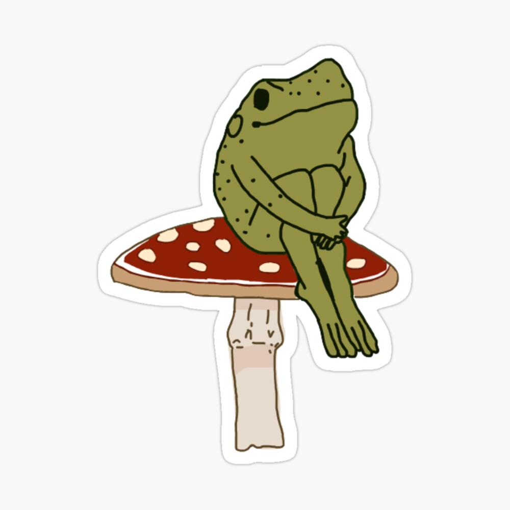 Wallpaper frog mushroom toadstool sit closeup hd picture image