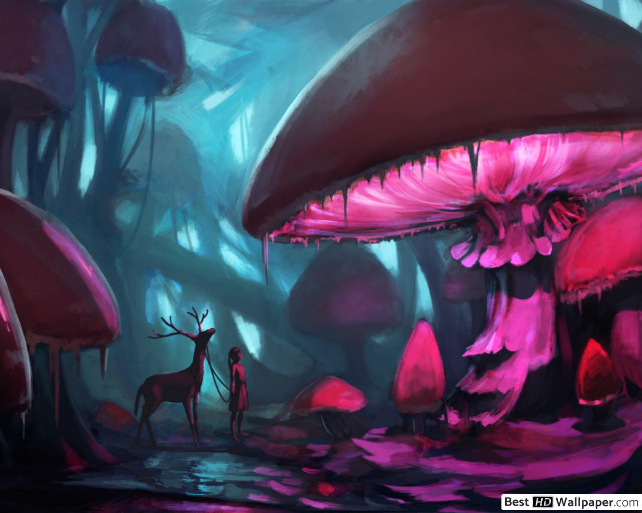 Mushroom Forest HD wallpaper download