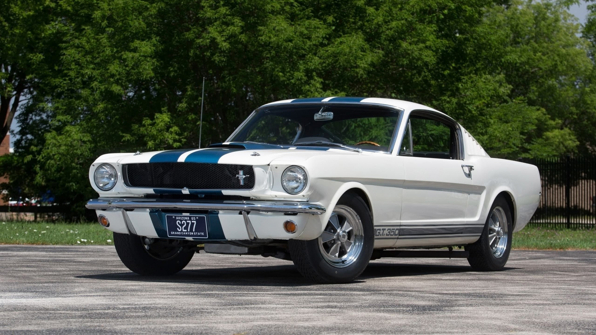 Ford Mustang Shelby Gt350, Sports Lines, Wallpaper Ford Mustang Shelby Gt350 HD