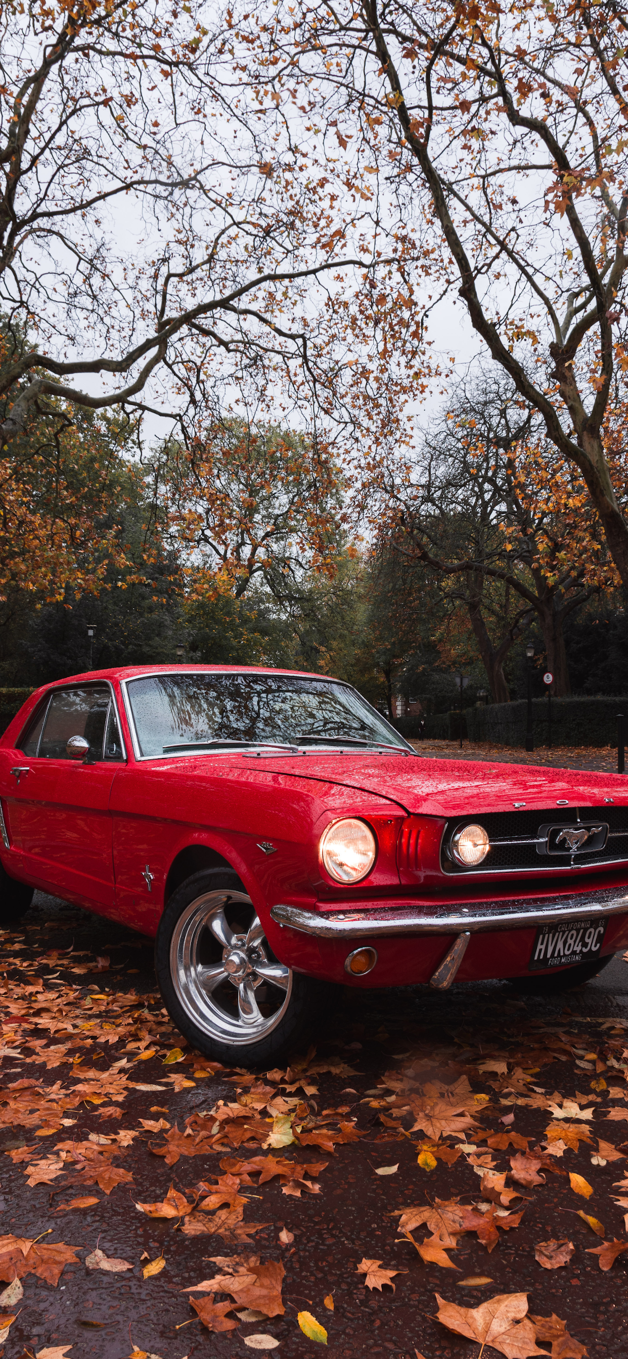 Ford Mustang Wallpaper For iPhone X 8 7 6 Free Download 65