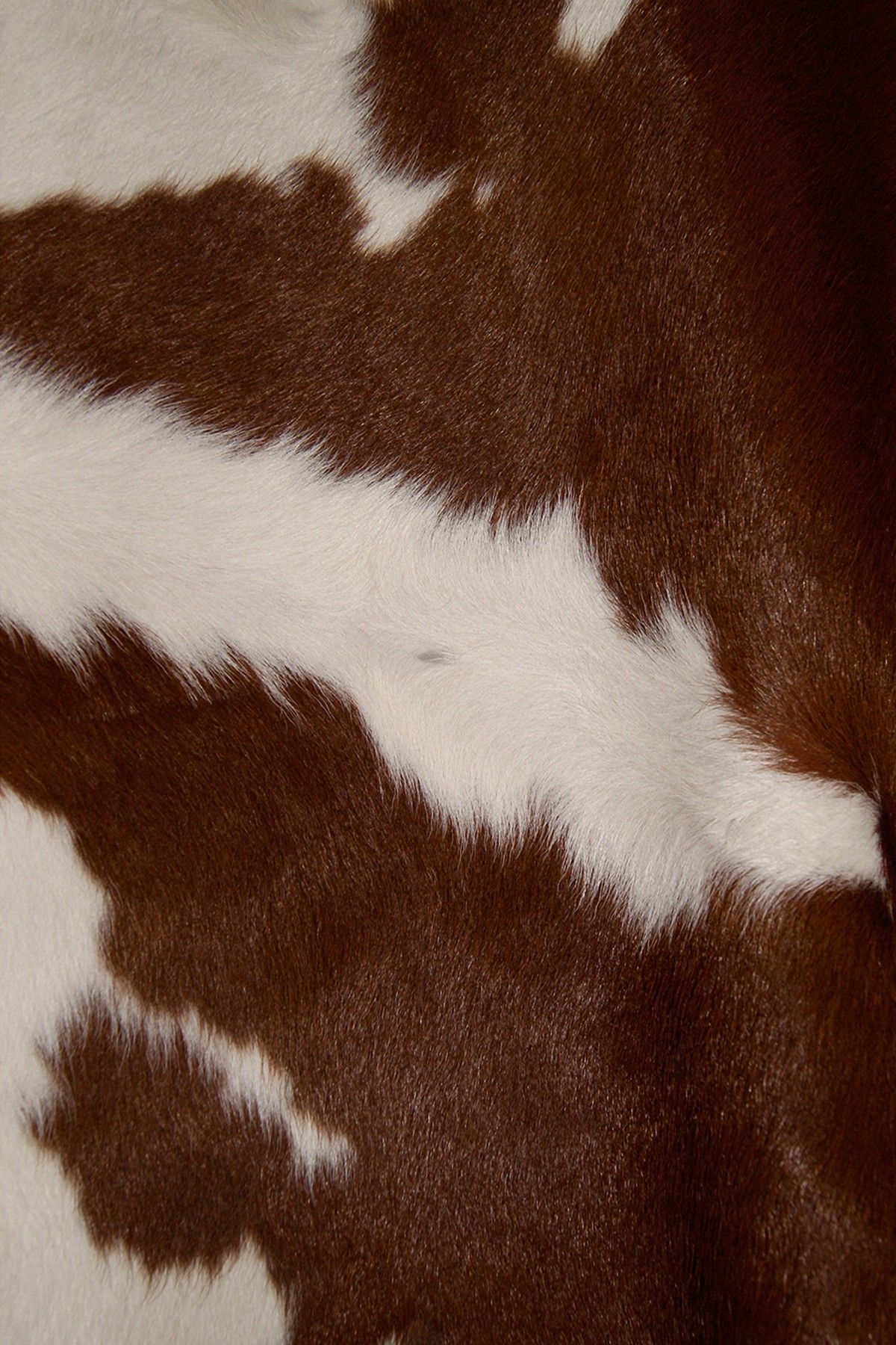 On HauteLook:. Natural Mini Genuine Cowhide Rug White. Cow Print Wallpaper, Western Aesthetic, Brown Aesthetic