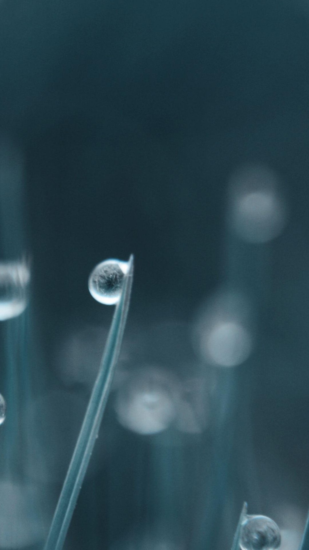Tiny Water Drop On Grass iPhone 6 Plus HD Wallpaper HD