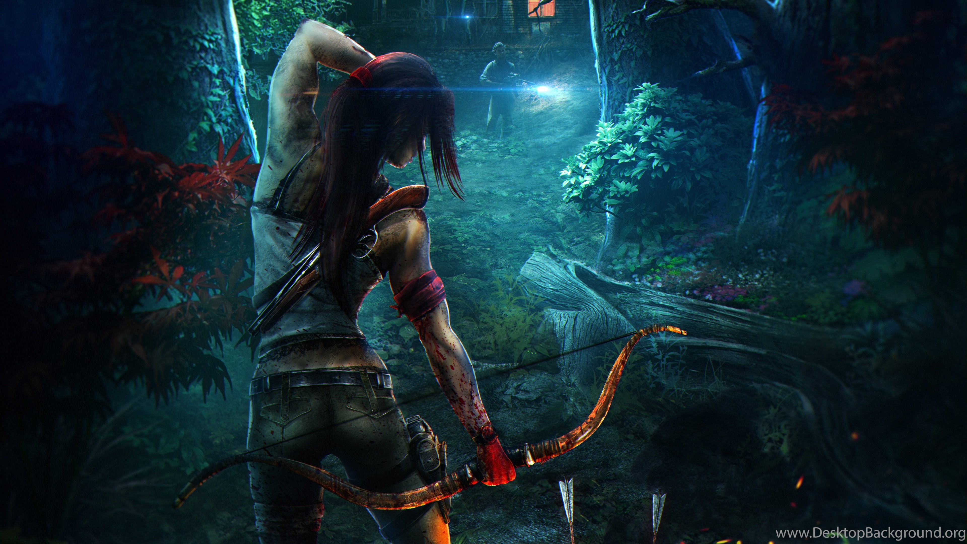 Wallpaper: Tomb Raider, Fantasy Girl, Video Game, Arrow, Forest. Desktop Background
