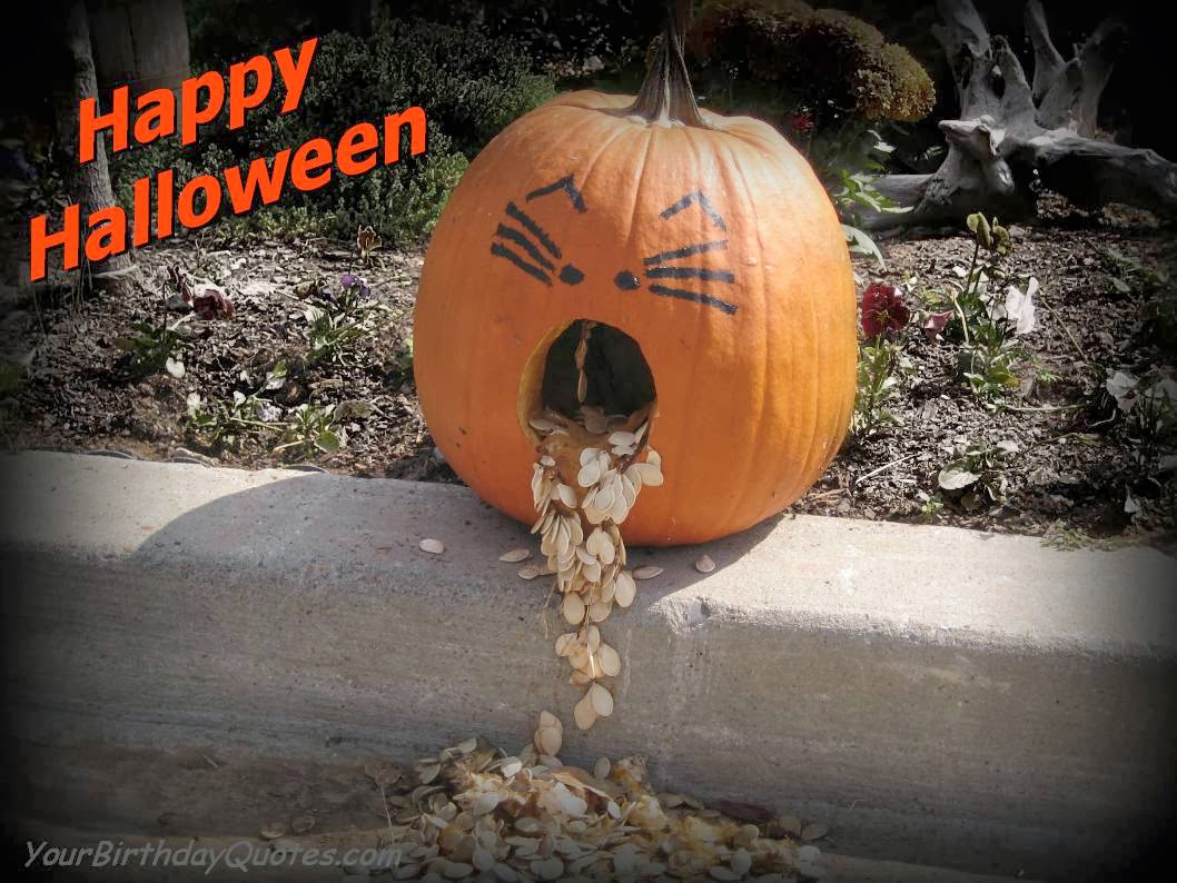 Scary Happy Funny Halloween HD Wallpaper