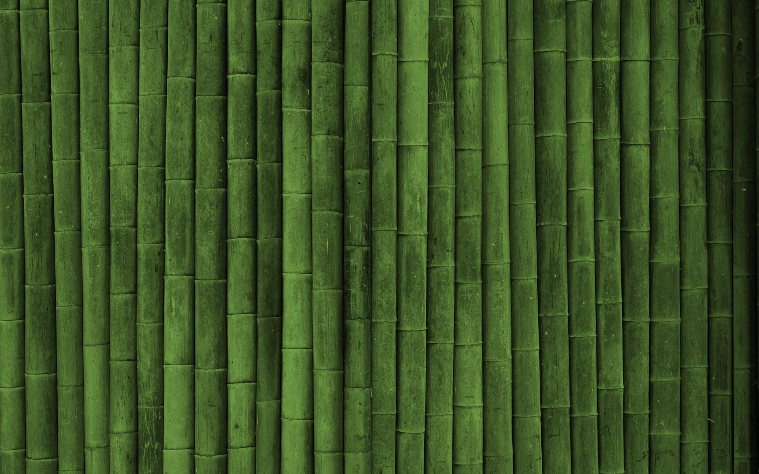 Give a New Look to Your Home With Eco Friendly Wallpaper. Bamboo wallpaper, Bamboo background, Bamboo texture