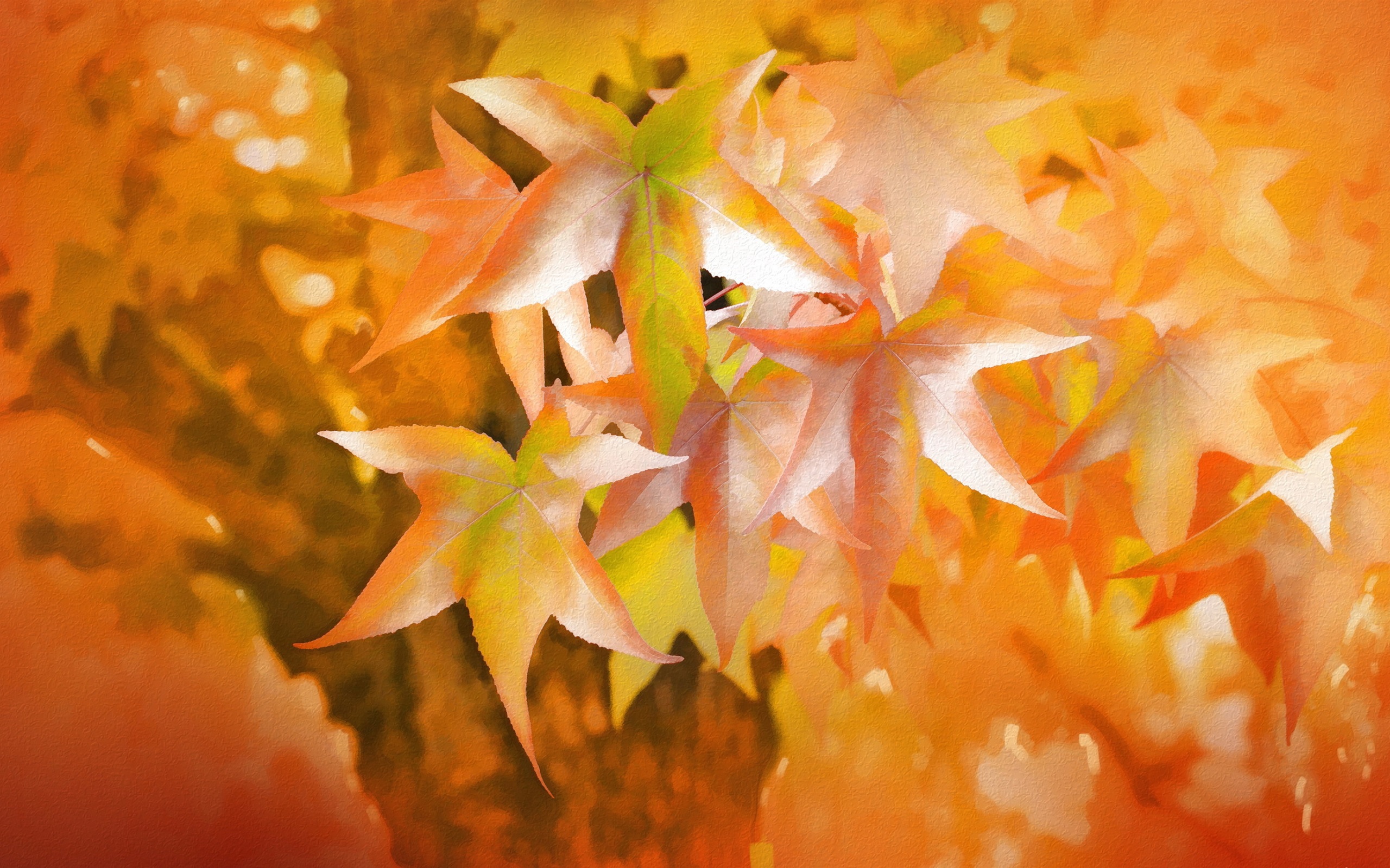 Wallpaper Red maple leaves, texture, autumn 2560x1600 HD Picture, Image