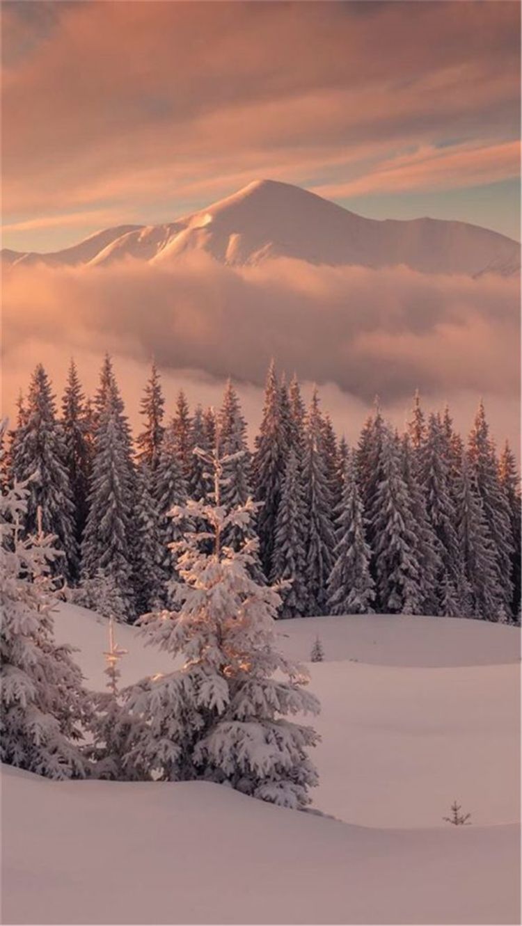 High Quality And Breath Taking Christmas Winter Wallpaper For Your Phone Fashion Lifestyle Blog Shinecoco.com. Landscape Wallpaper, Winter Landscape, Winter Wallpaper