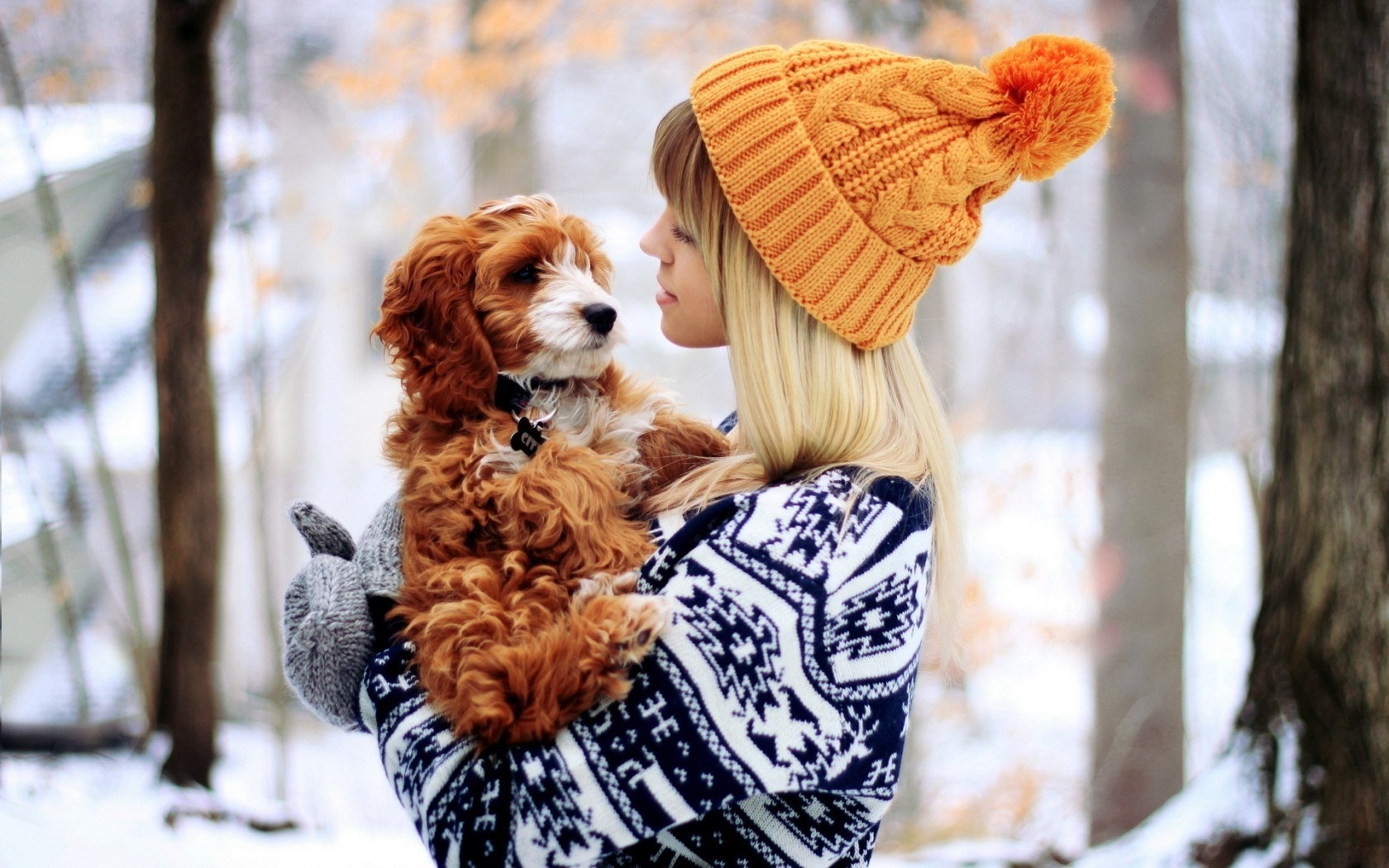 blondes women winter snow dogs wool beanies High Quality Wallpaper, High Definition Wallpaper
