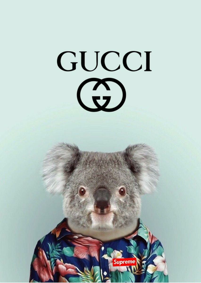 Wallpaper. Gucci wallpaper iphone, Bear wallpaper, Hypebeast wallpaper