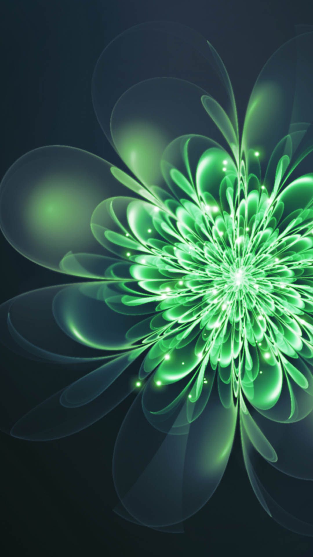 Fractal Flower Shapes Pattern HD Wallpapers - Wallpaper Cave