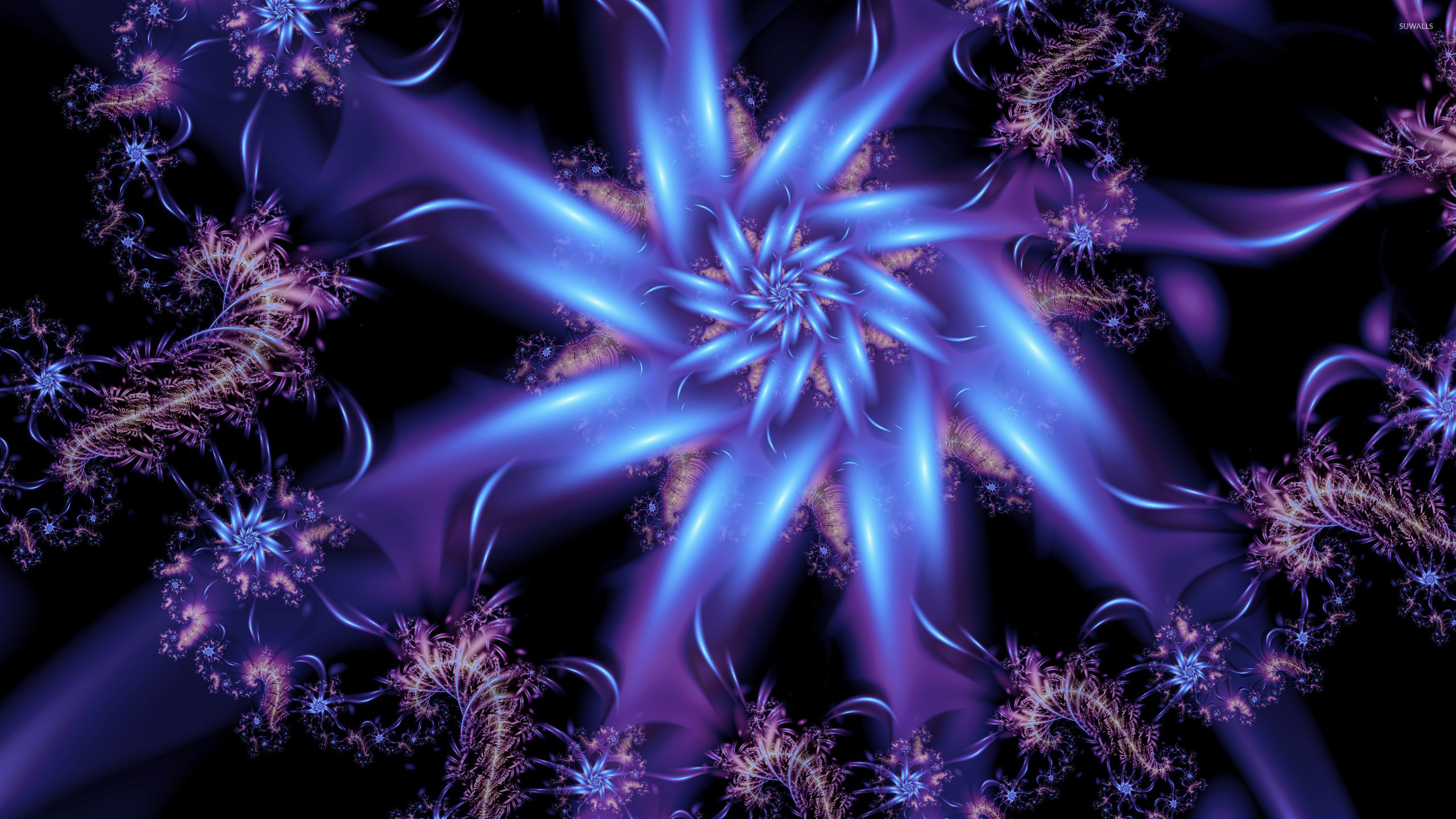 Fractal Flower Shapes Pattern HD Wallpapers - Wallpaper Cave