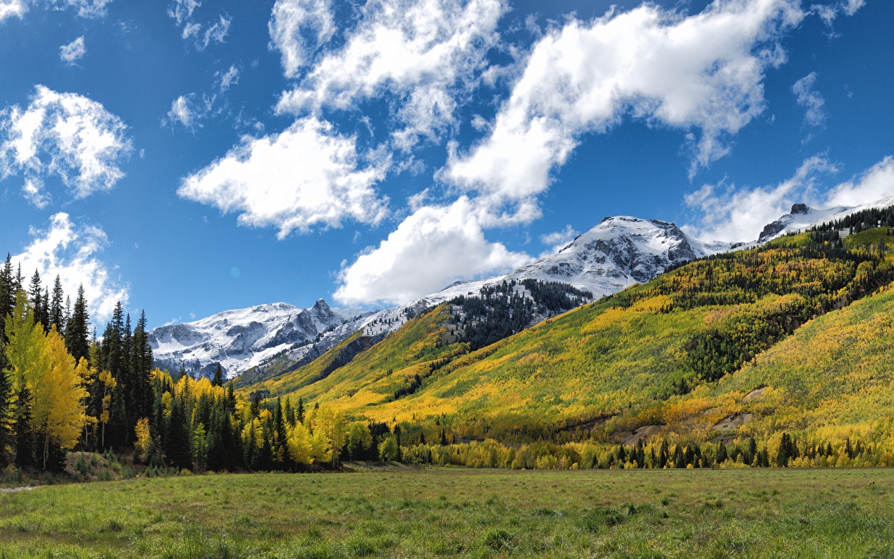 Picture USA Aspen, Colorado Autumn Nature mountain forest Meadow