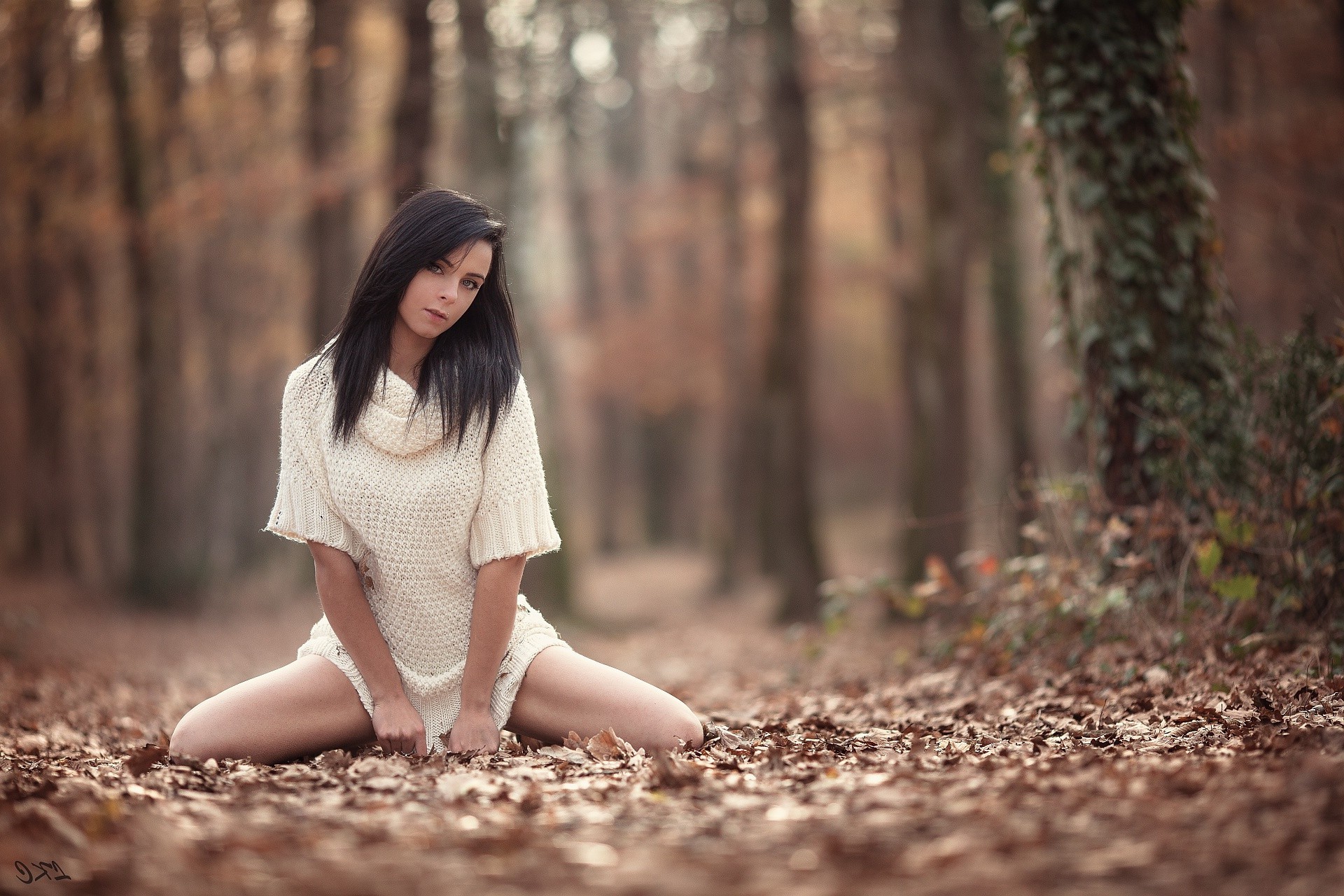 Wallpaper, sunlight, forest, fall, women outdoors, model, depth of field, straight hair, long hair, brunette, looking at viewer, sitting, spread legs, fashion, spring, Laurent Kac, sweater dress, autumn, girl, beauty, season