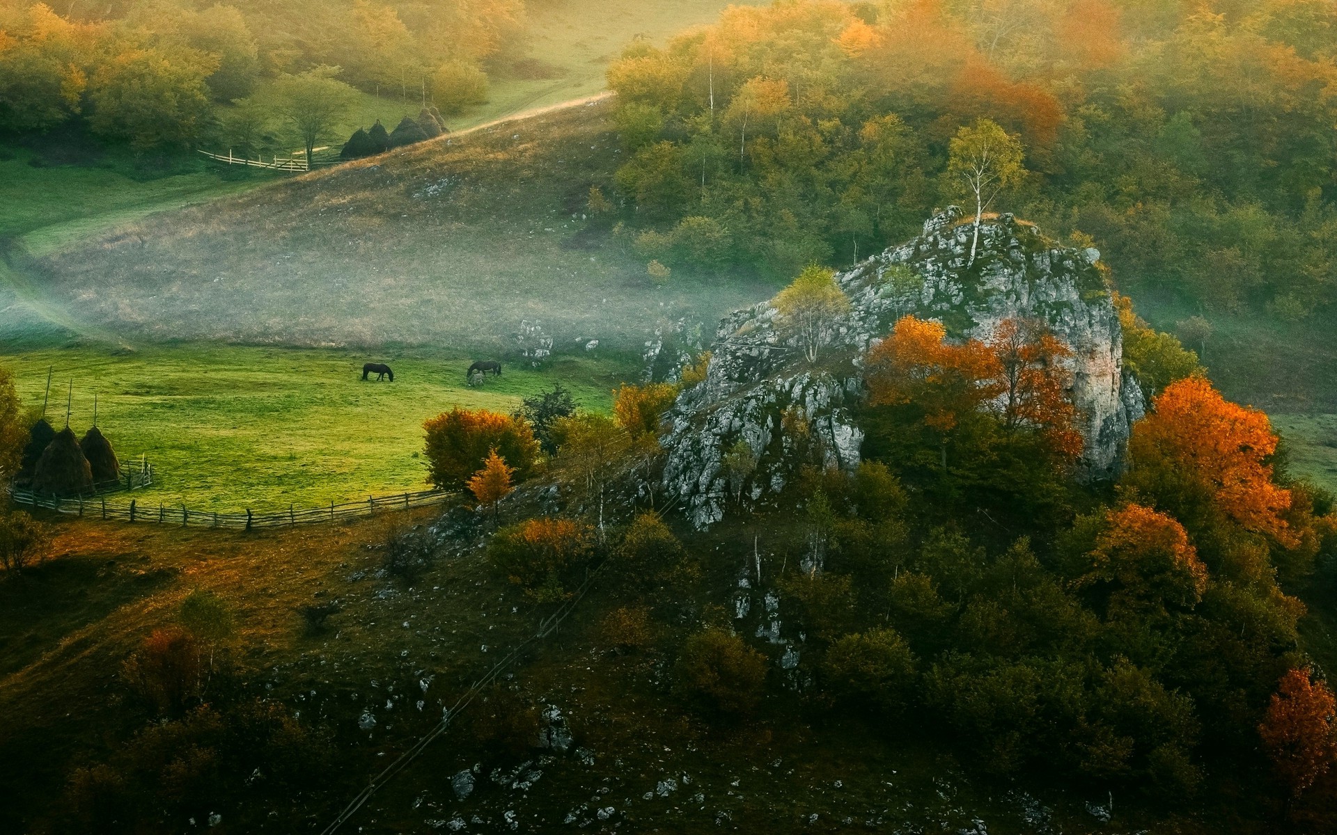 Wallpaper, sunlight, trees, landscape, forest, fall, hill, rock, nature, reflection, horse, grass, sunrise, Romania, evening, morning, mist, hut, fence, wilderness, cloud, tree, autumn, leaf, mountain, flower, dawn, season, meadow, 1920x1200 px