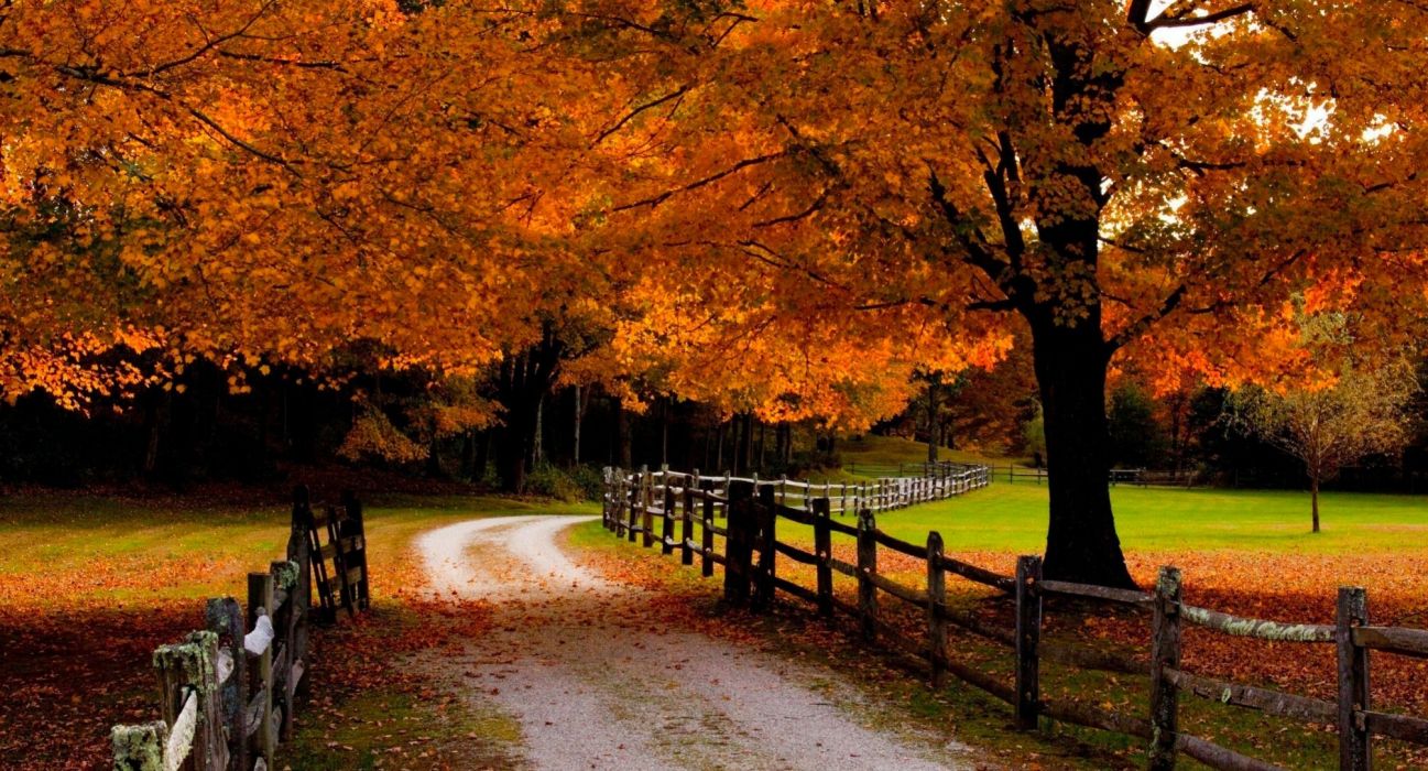 Road fall leaves meadows grass orange beautiful forest trees fences autumn wallpaperx1085