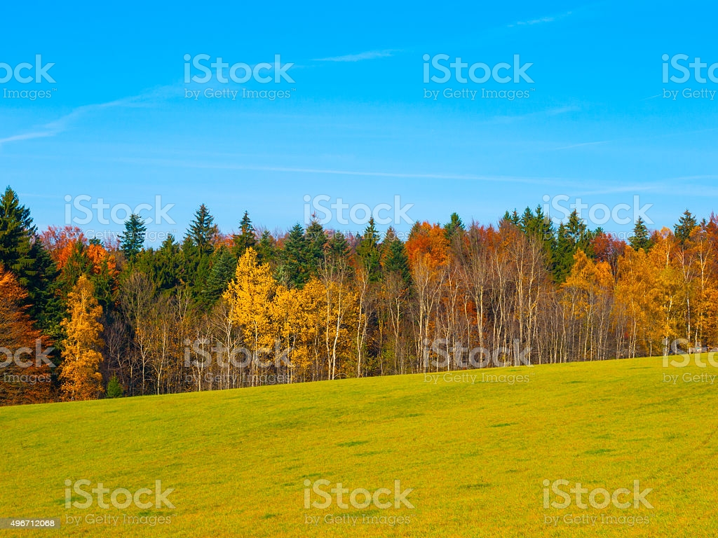Autumn Meadow And Forest Image Now