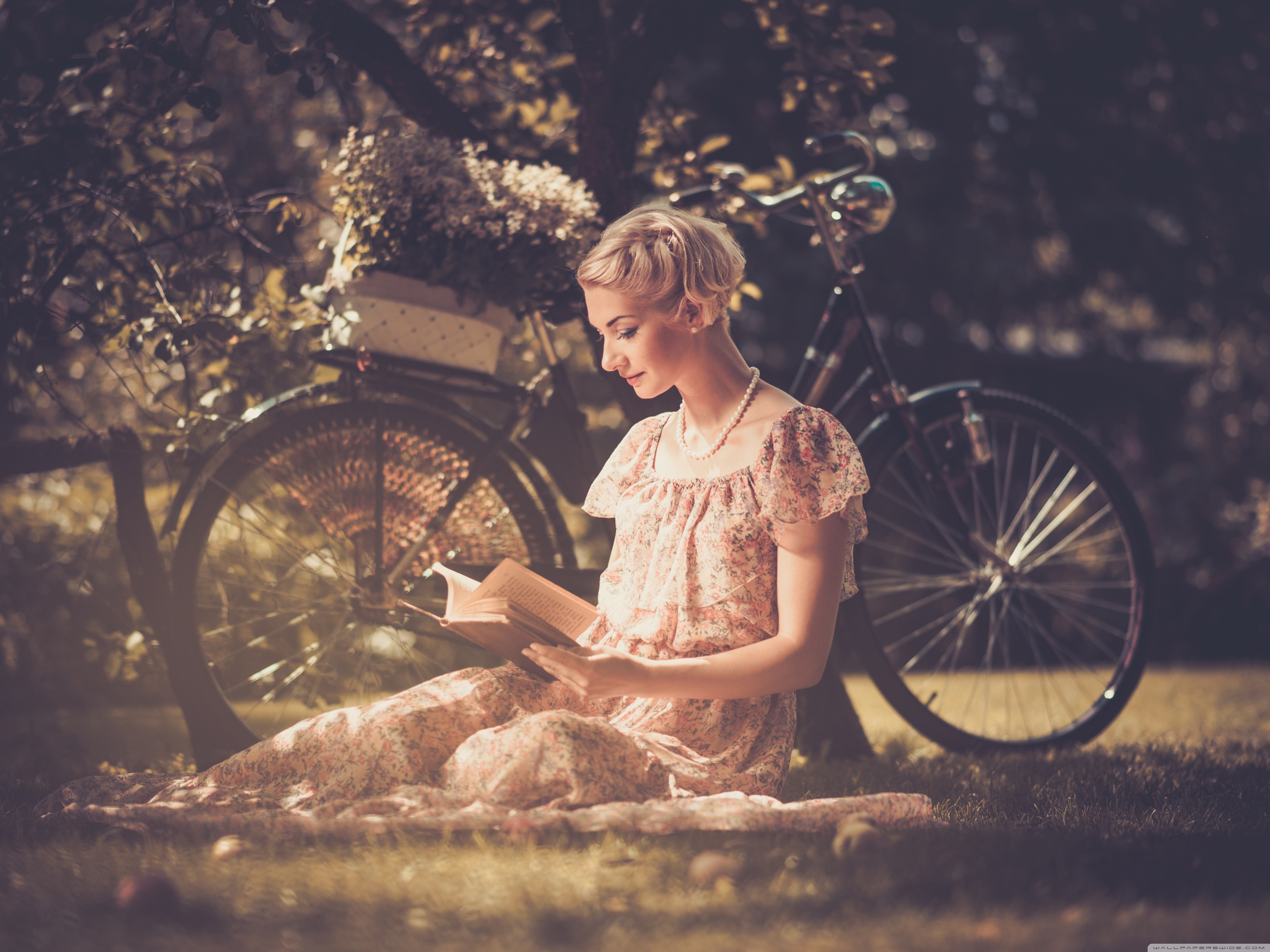 Reading Books Ultra HD Desktop Background Wallpaper for 4K UHD TV, Widescreen & UltraWide Desktop & Laptop, Multi Display, Dual Monitor, Tablet