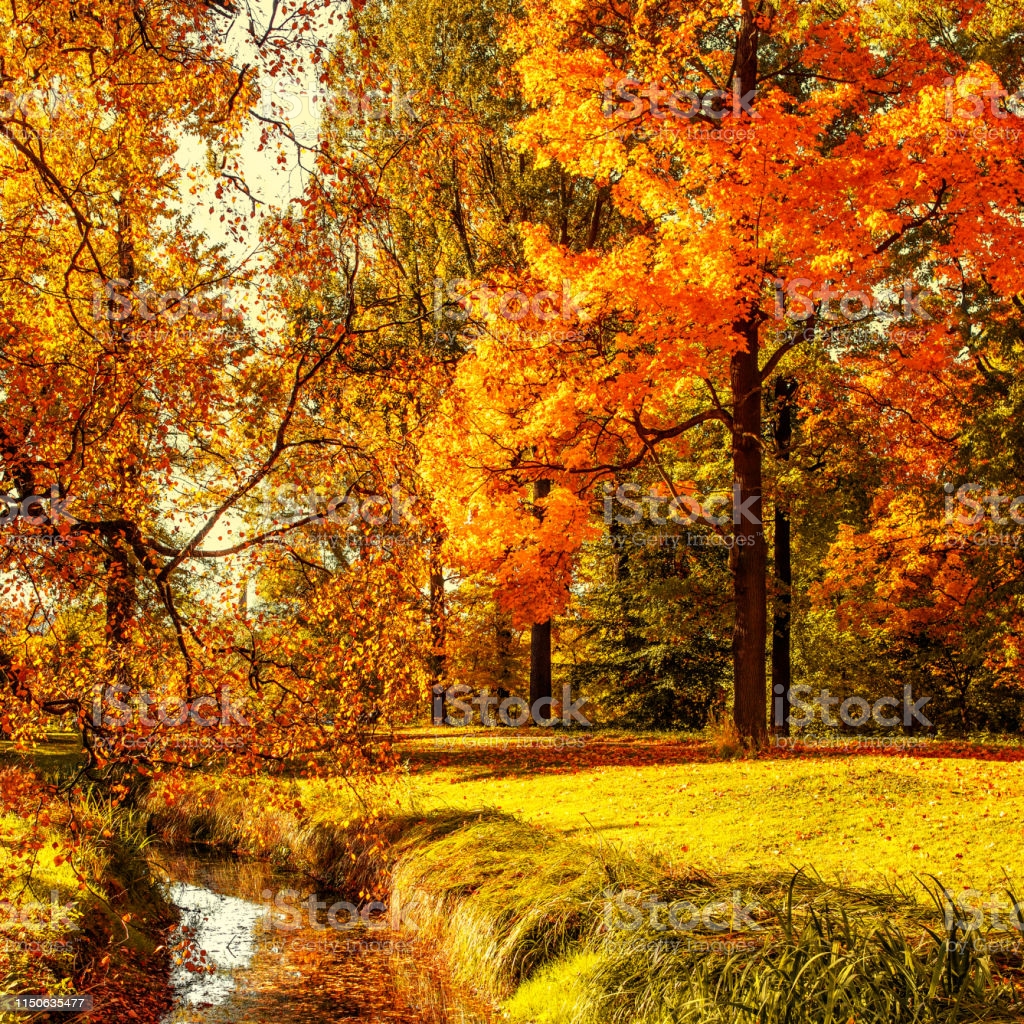 Autumn Fall Scene Countryside Landscape With Red And Yellow Maple Leaves Trees And Meadow Image Now